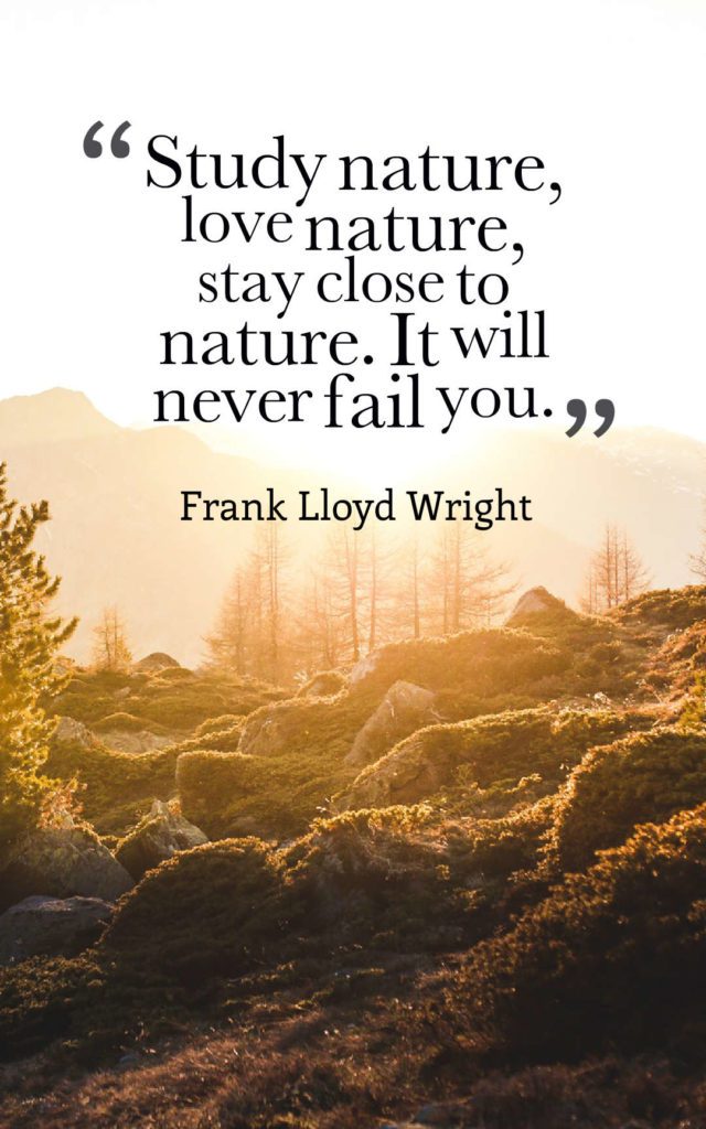 Beautiful Beauty Of Nature Quotes And Sayings