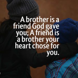 35 Cute Brother And Sister Quotes With Images