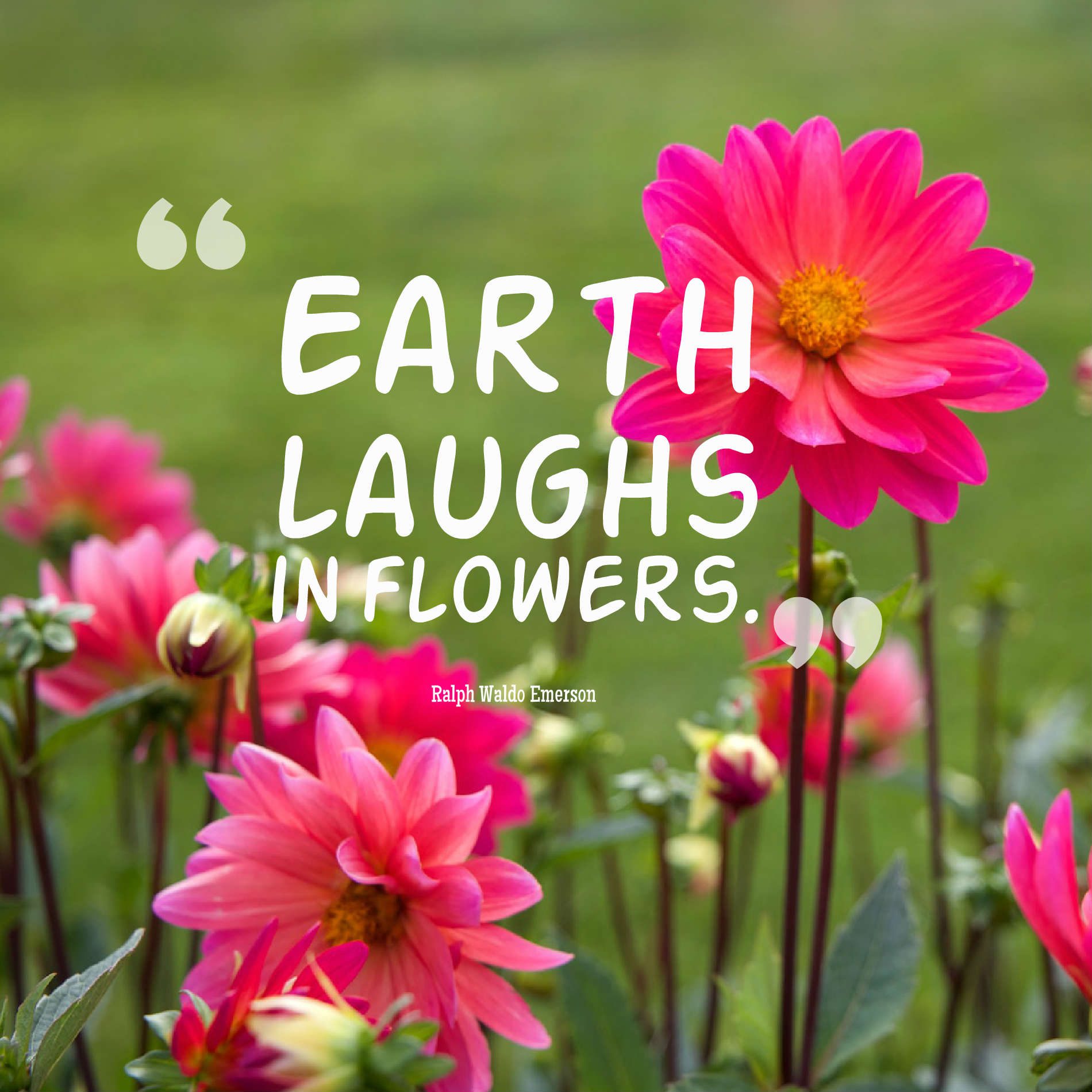 Earth laughs in flowers.