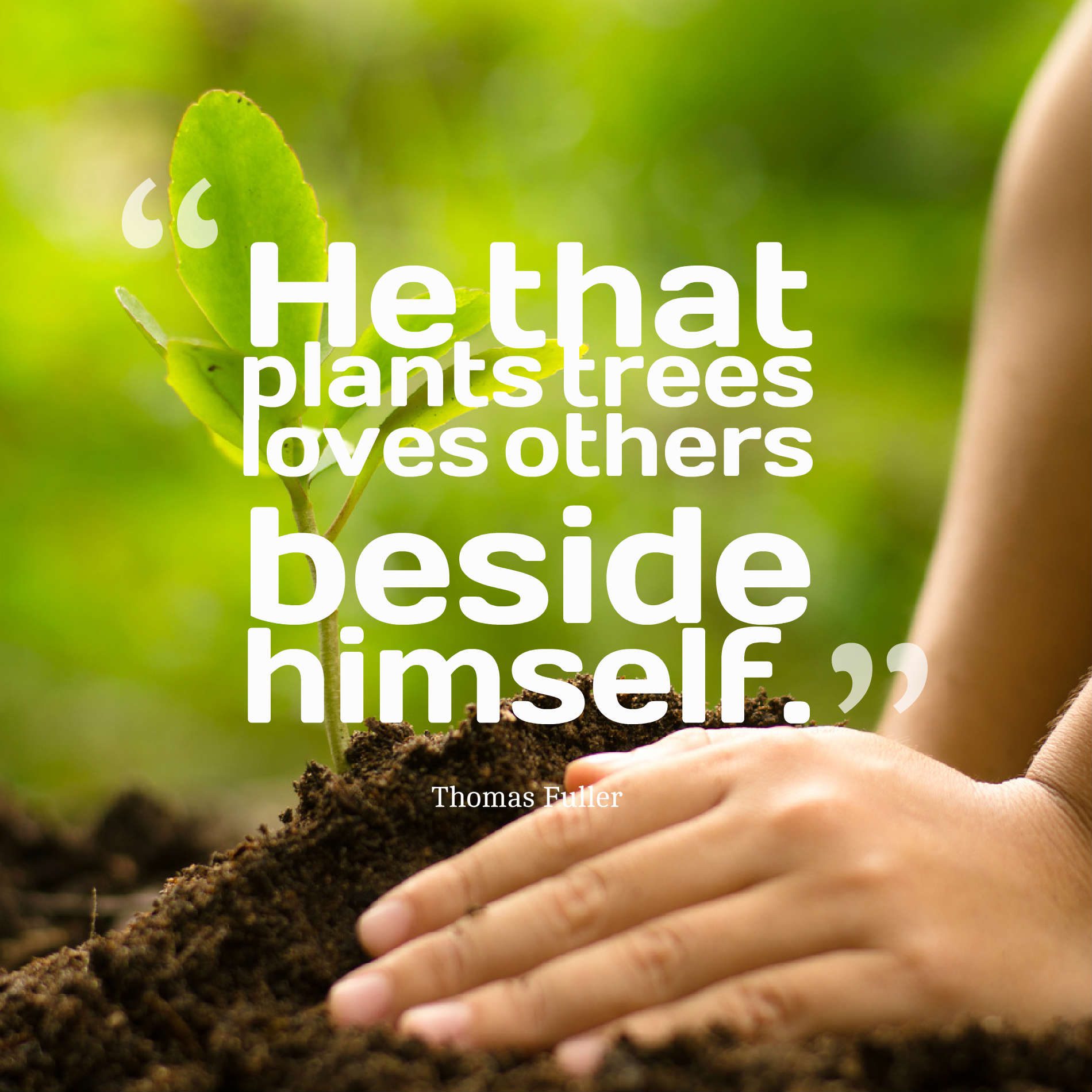 He that plants trees loves others beside himself.