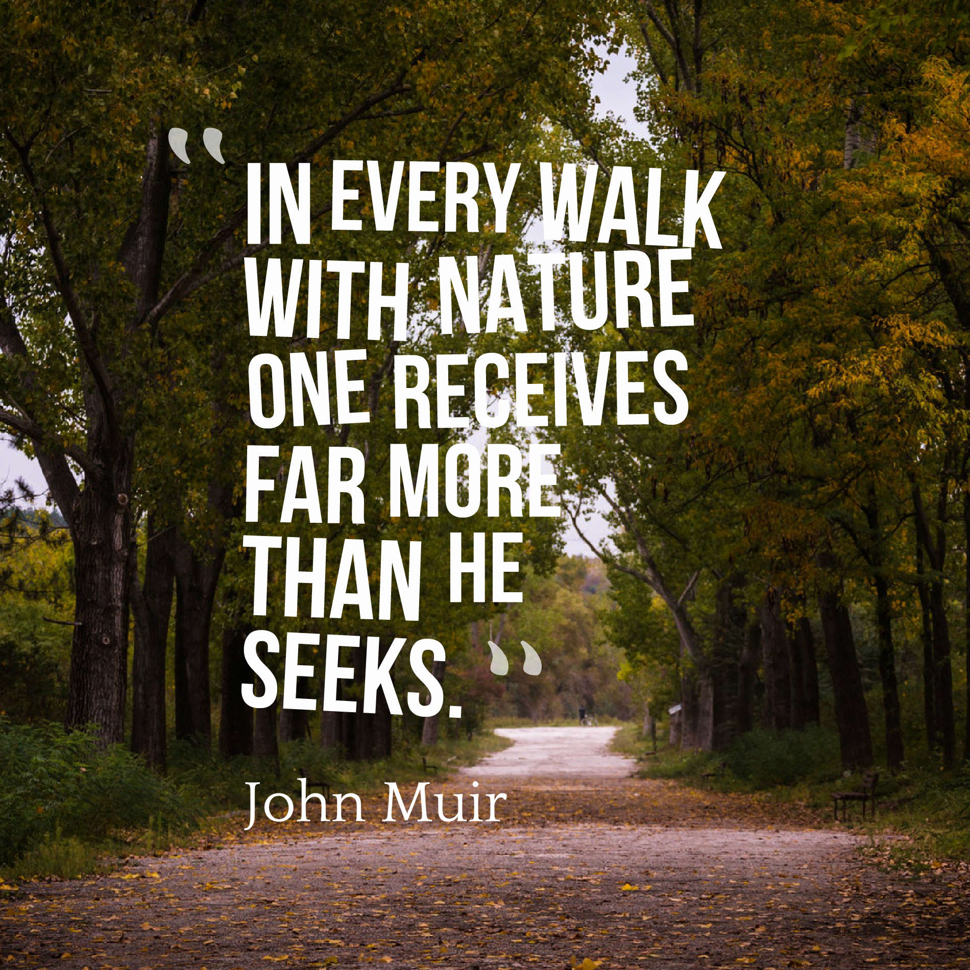 In every walk with nature one receives far more than he seeks.