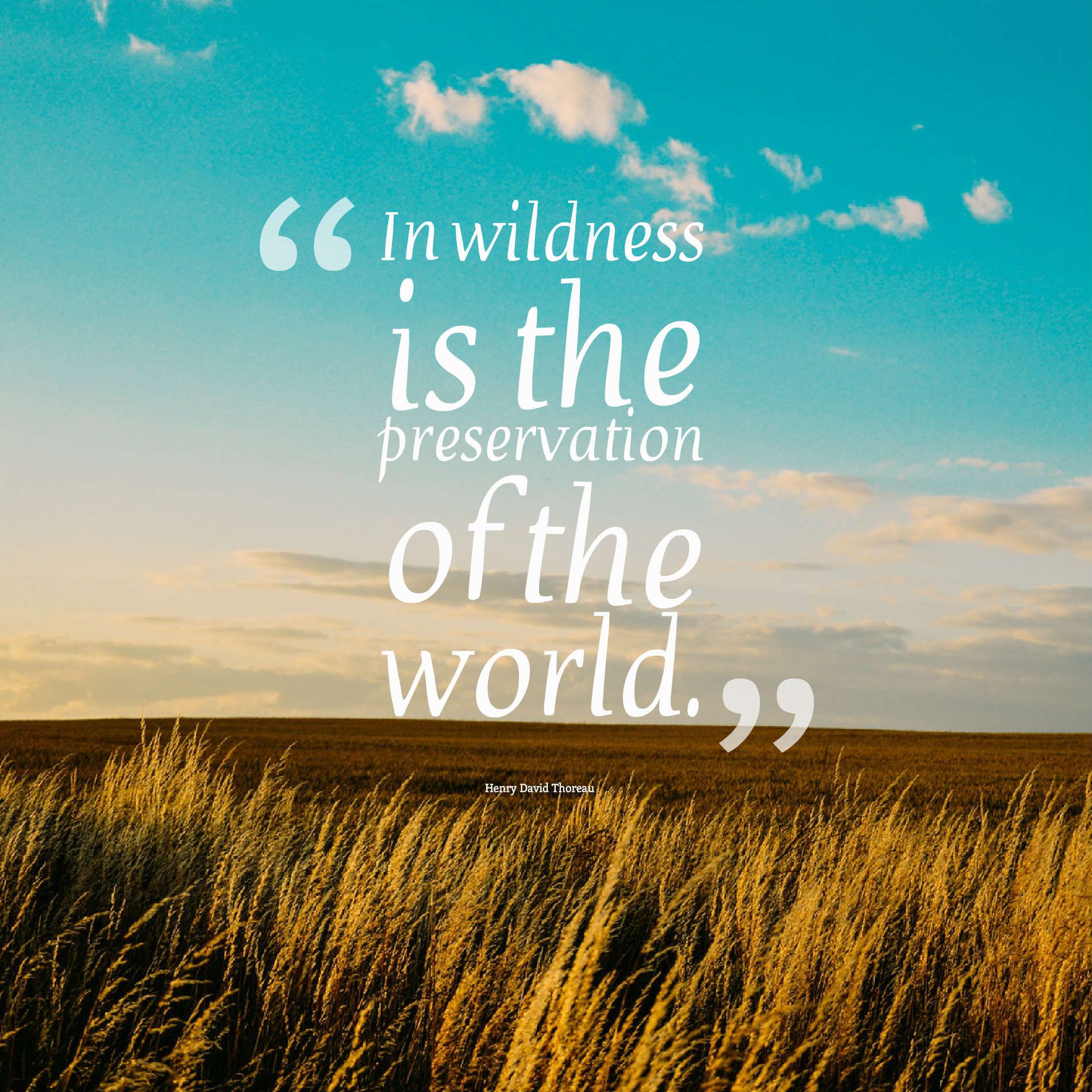 In wildness is the preservation of the world.