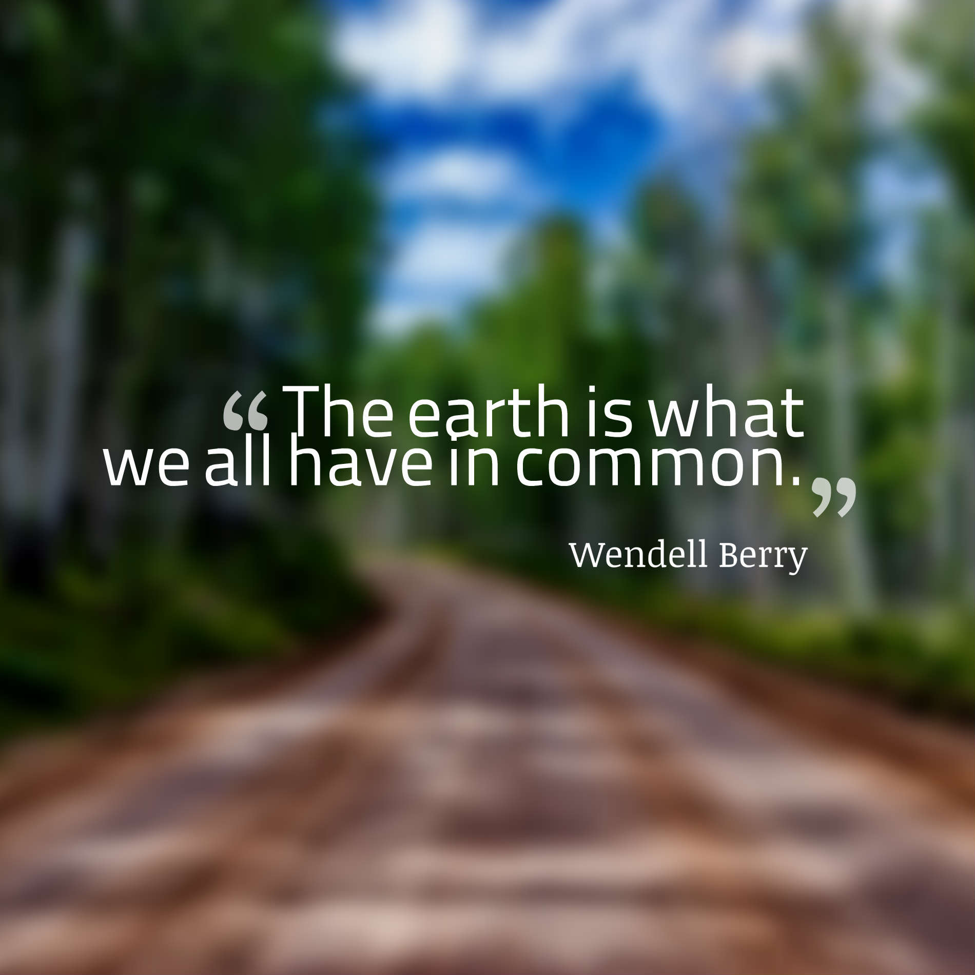 The earth is what we all have in common.