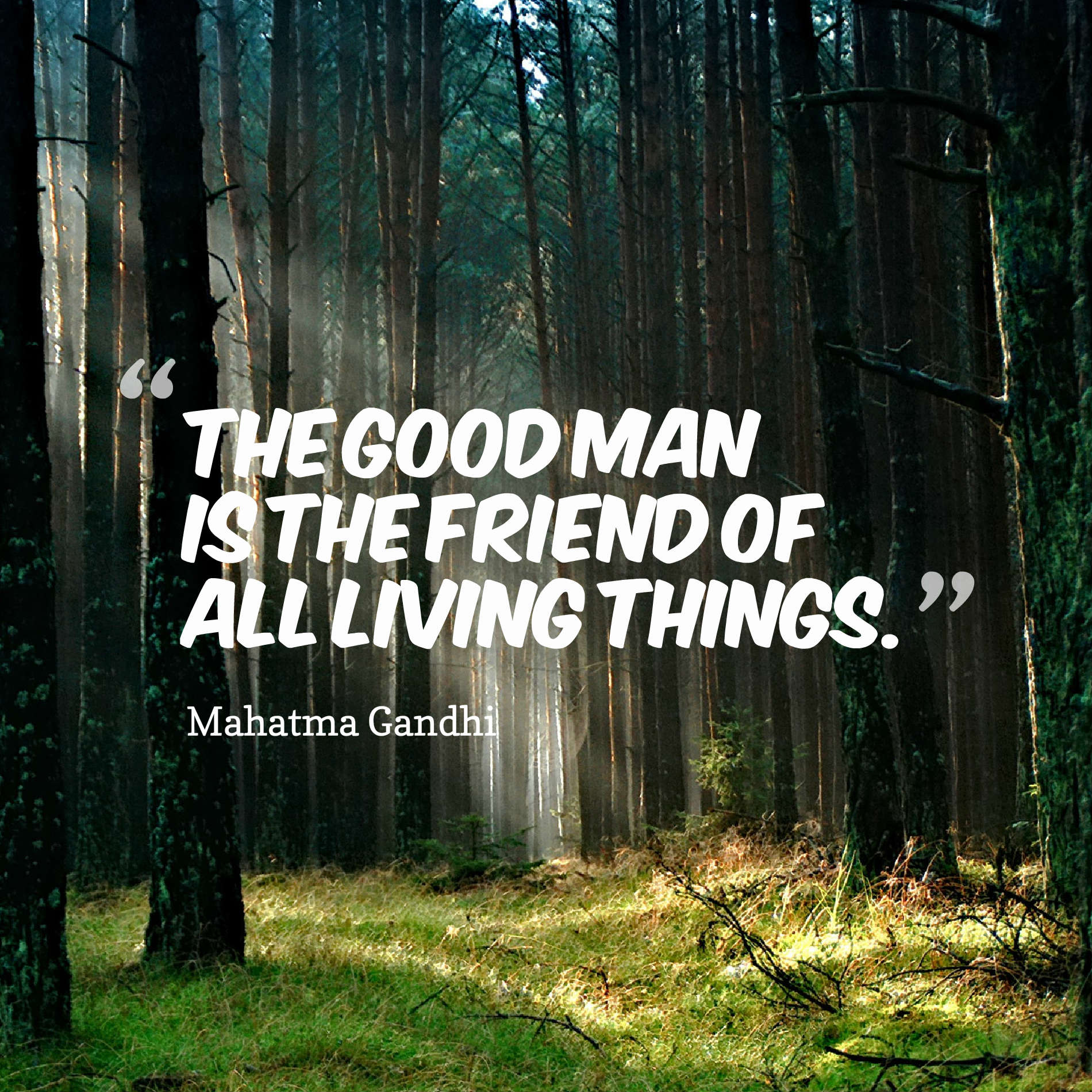 The good man is the friend of all living things.