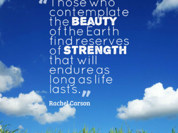 Those who contemplate the beauty of the Earth find reserves of strength that will endure as long as life lasts.