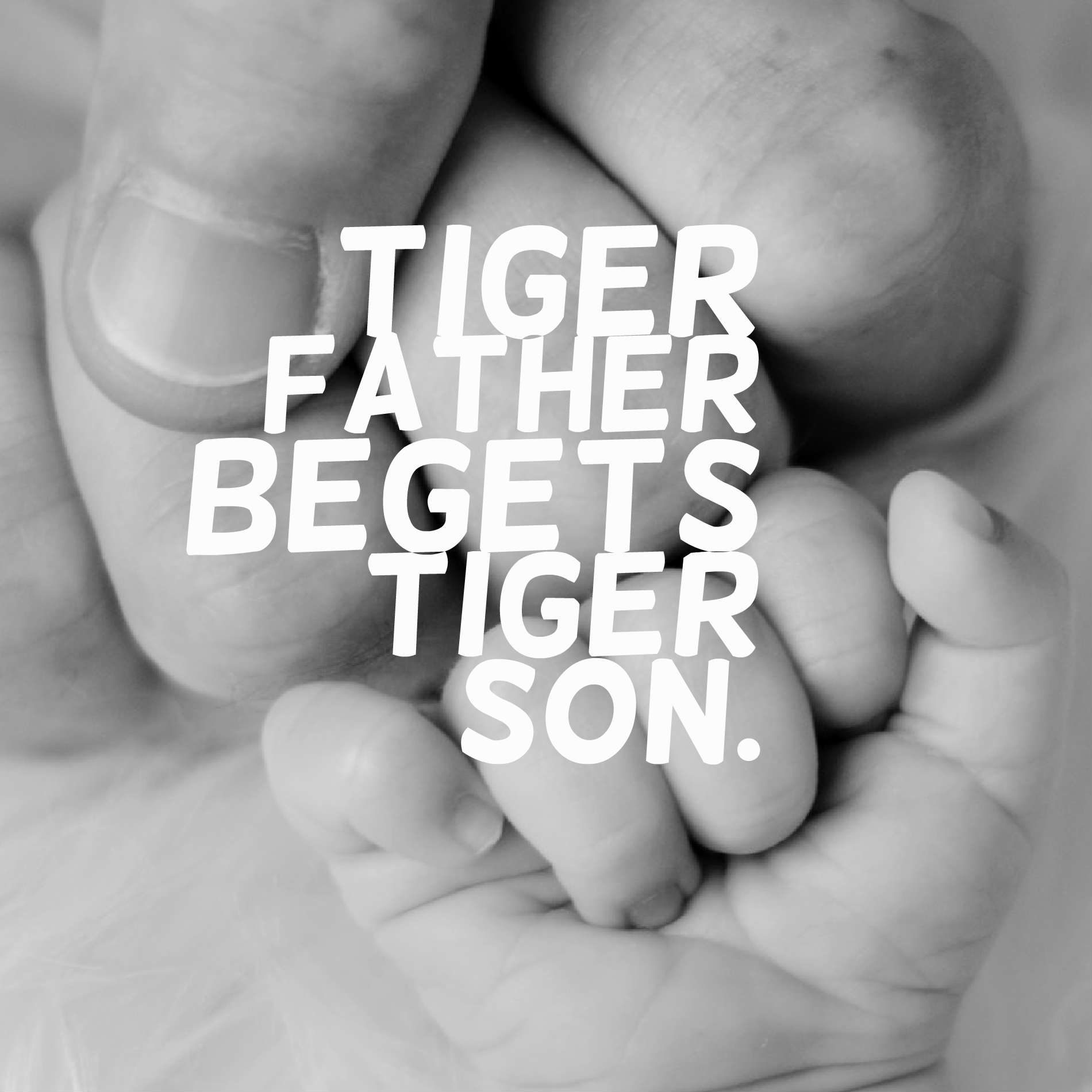 Tiger father begets tiger son.