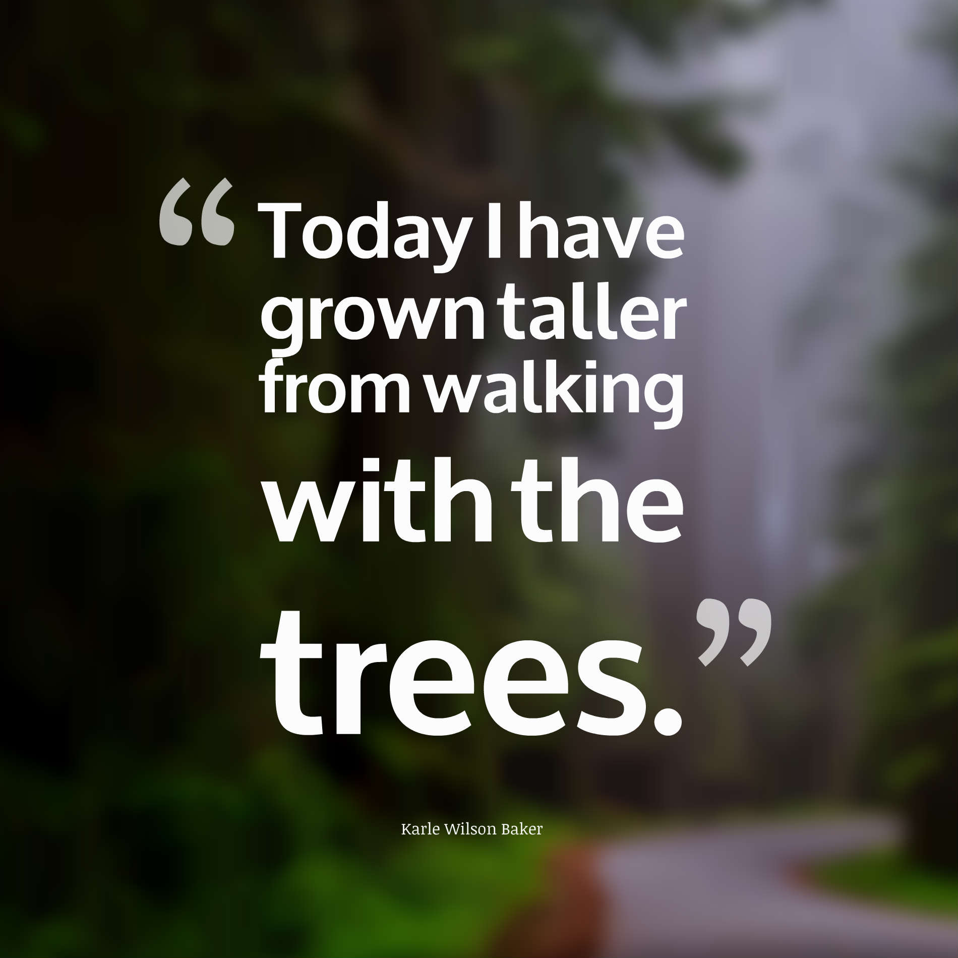 Today I have grown taller from walking with the trees.