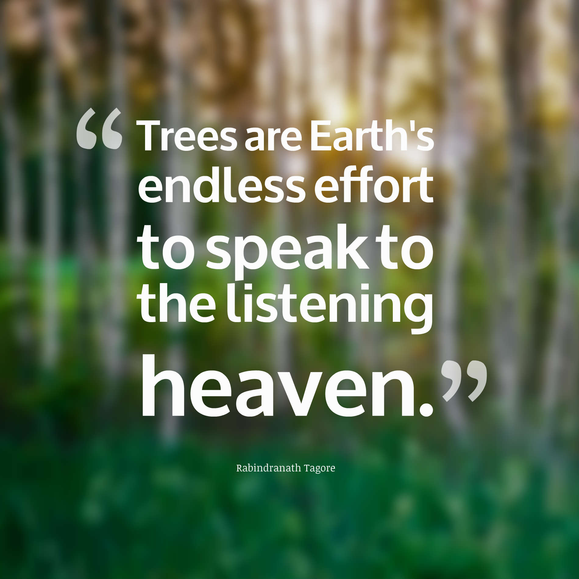Trees are Earth's endless effort to speak to the listening heaven.