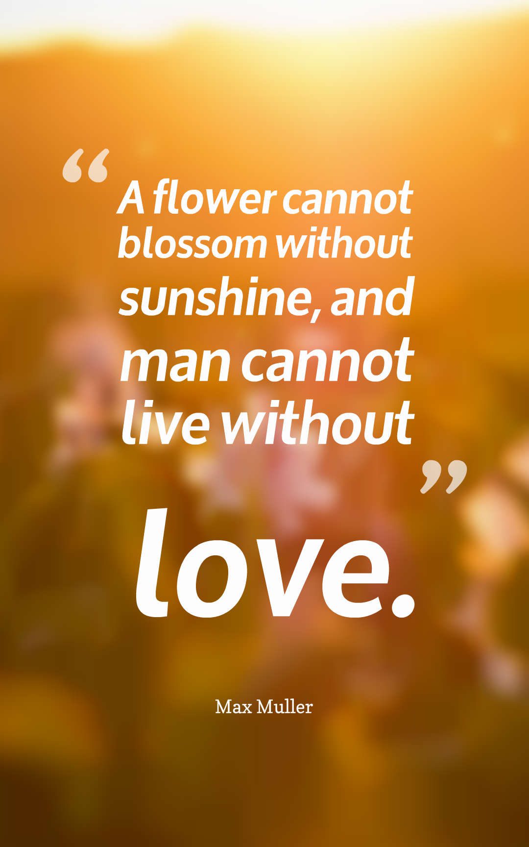 A flower cannot blossom without sunshine, and man cannot live without love.