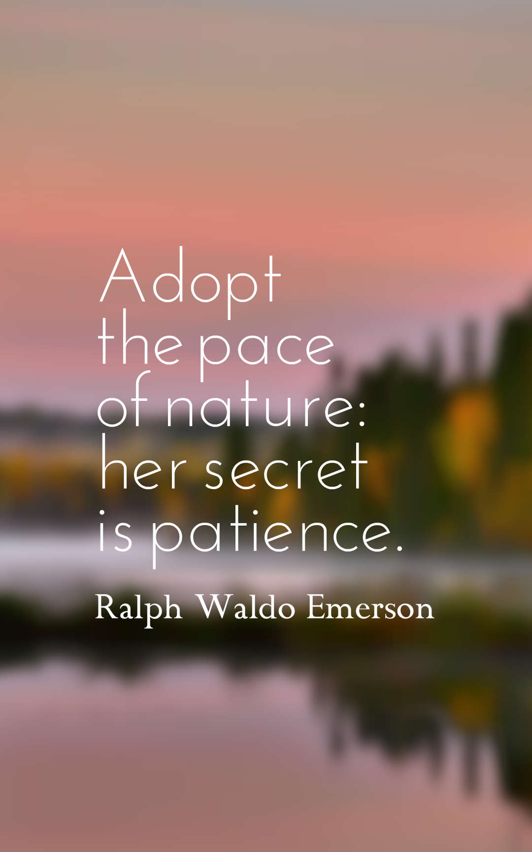 Adopt the pace of nature her secret is patience.