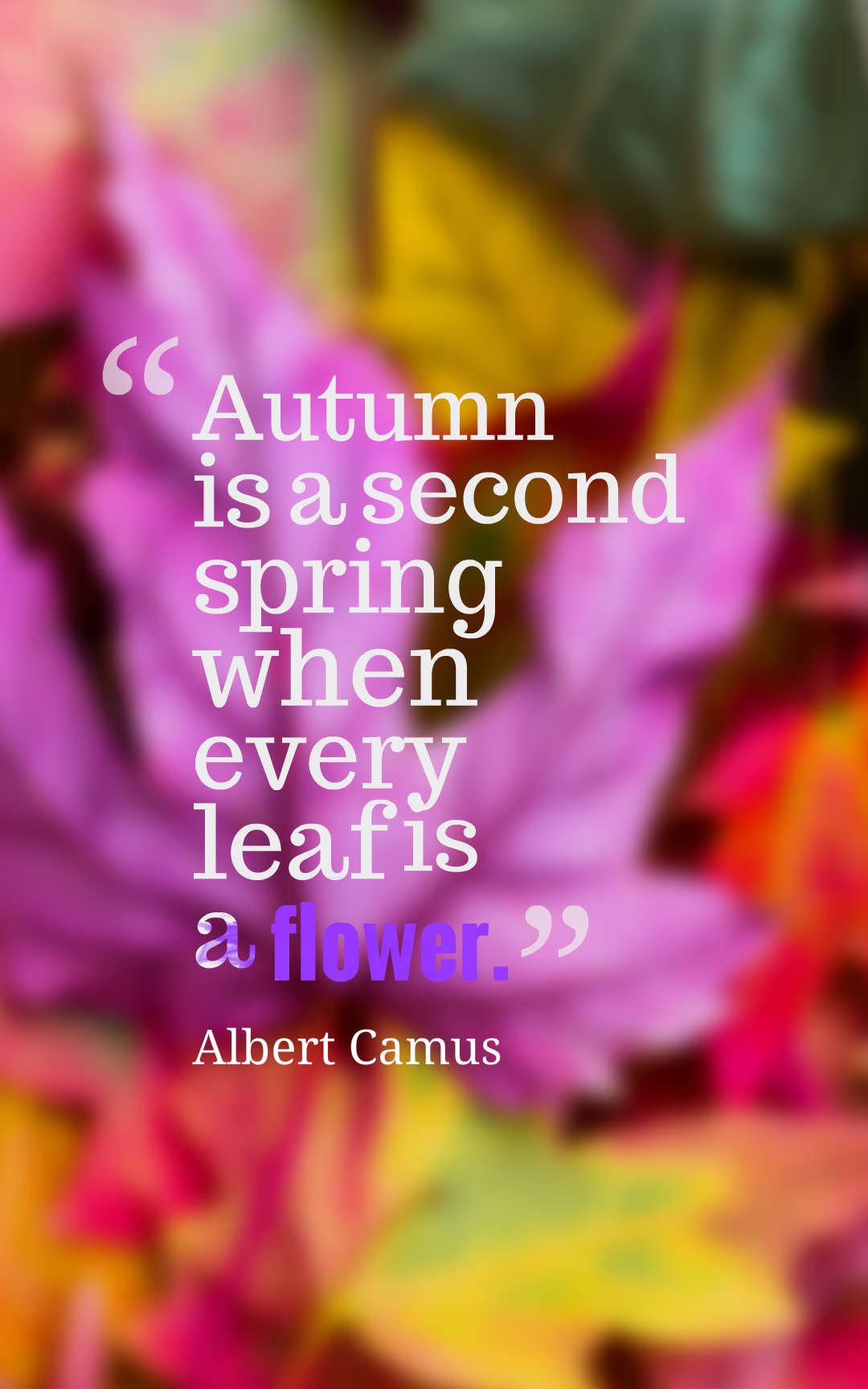 75 Amazing Flower Quotes With Images