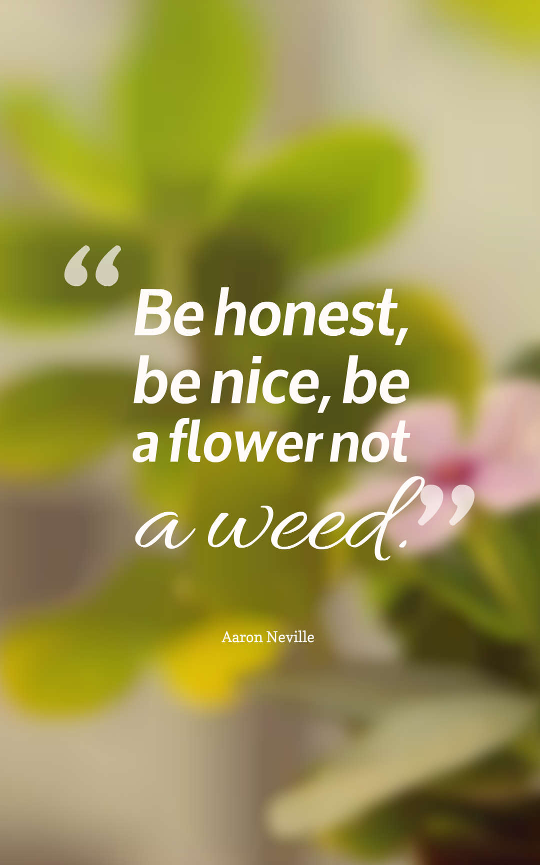 Be honest, be nice, be a flower not a weed.