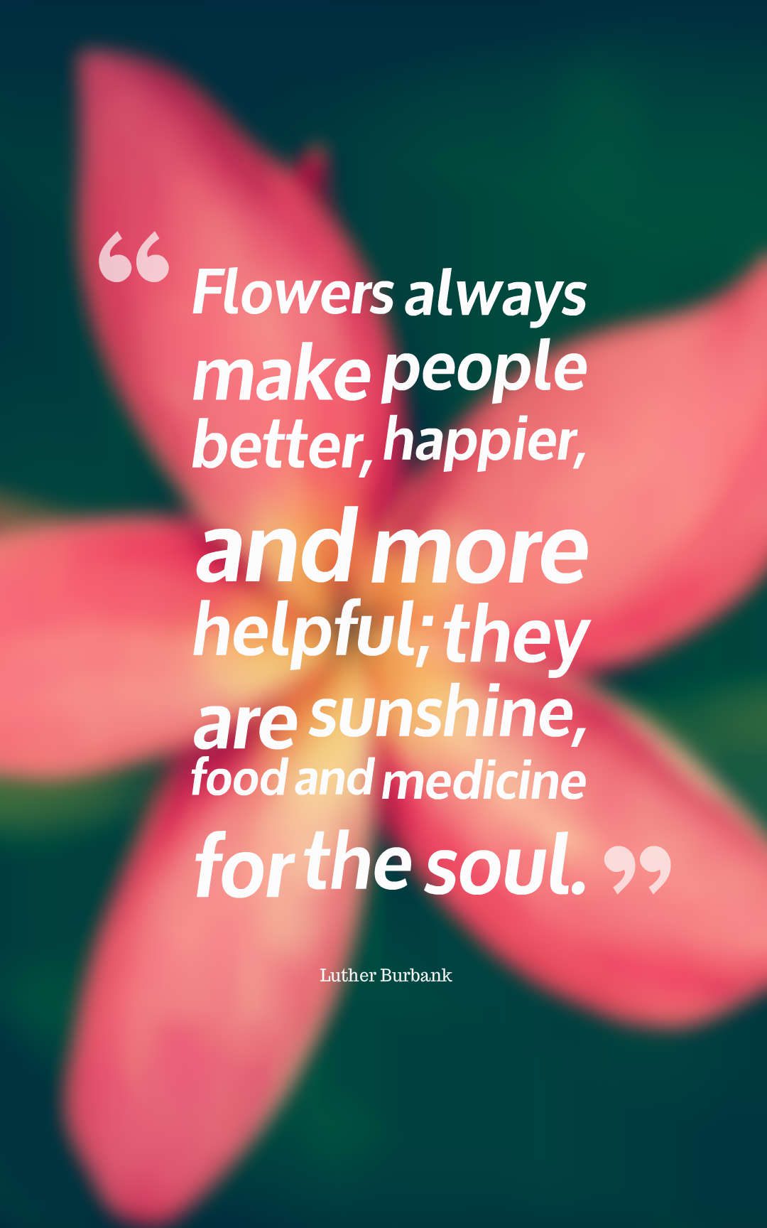Flowers always make people better, happier, and more helpful; they are sunshine, food and medicine for the soul.