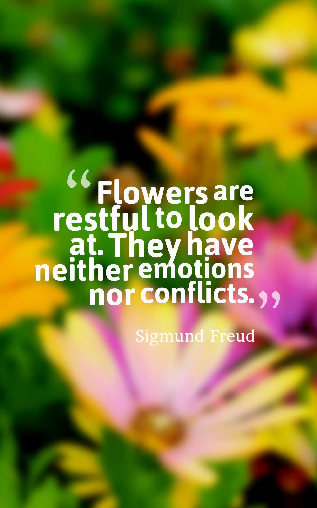 Flowers are restful to look at. They have neither emotions nor conflicts.