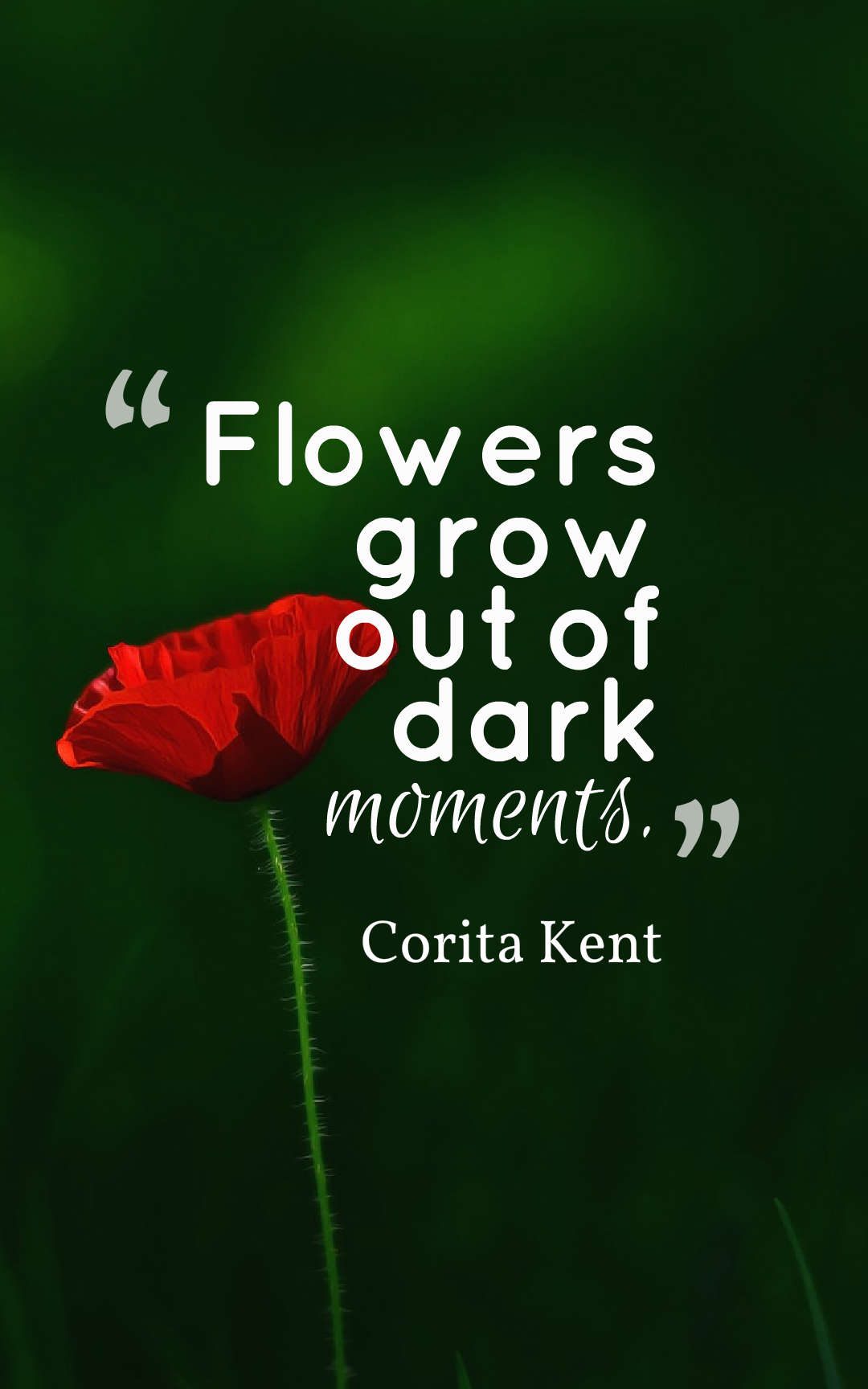 Flowers grow out of dark moments.