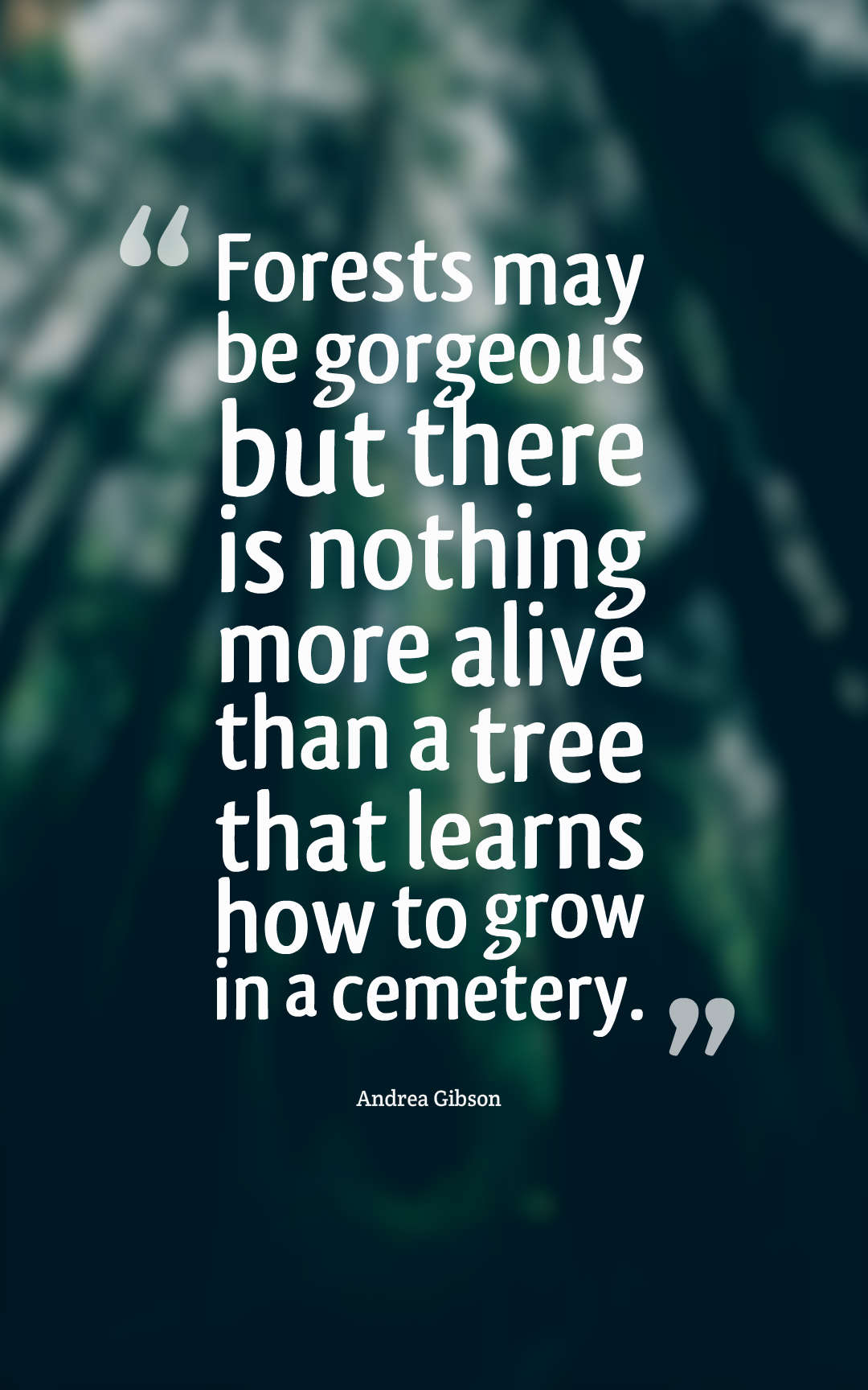 Forests may be gorgeous but there is nothing more alive than a tree that learns how to grow in a cemetery.