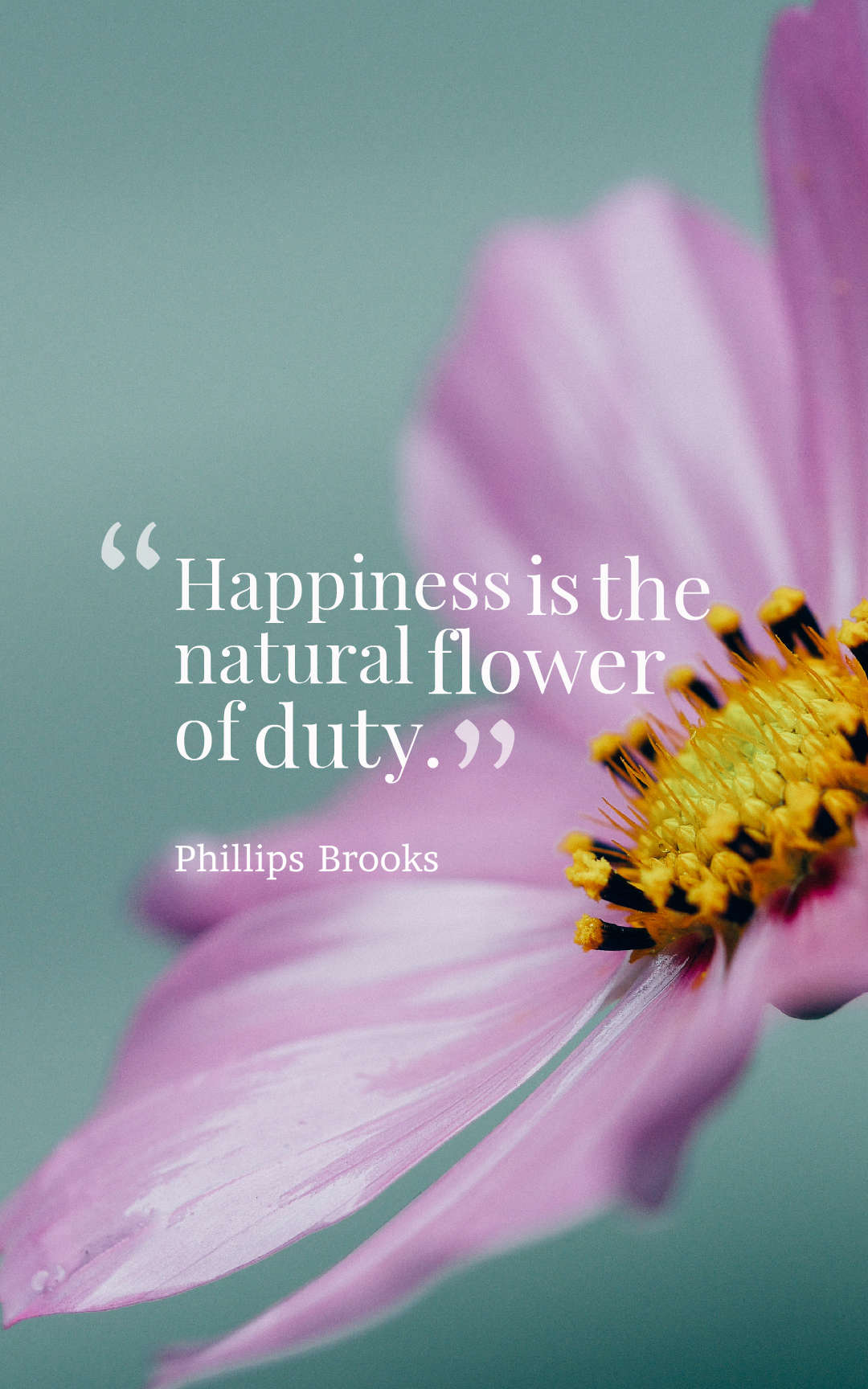 Happiness is the natural flower of duty.