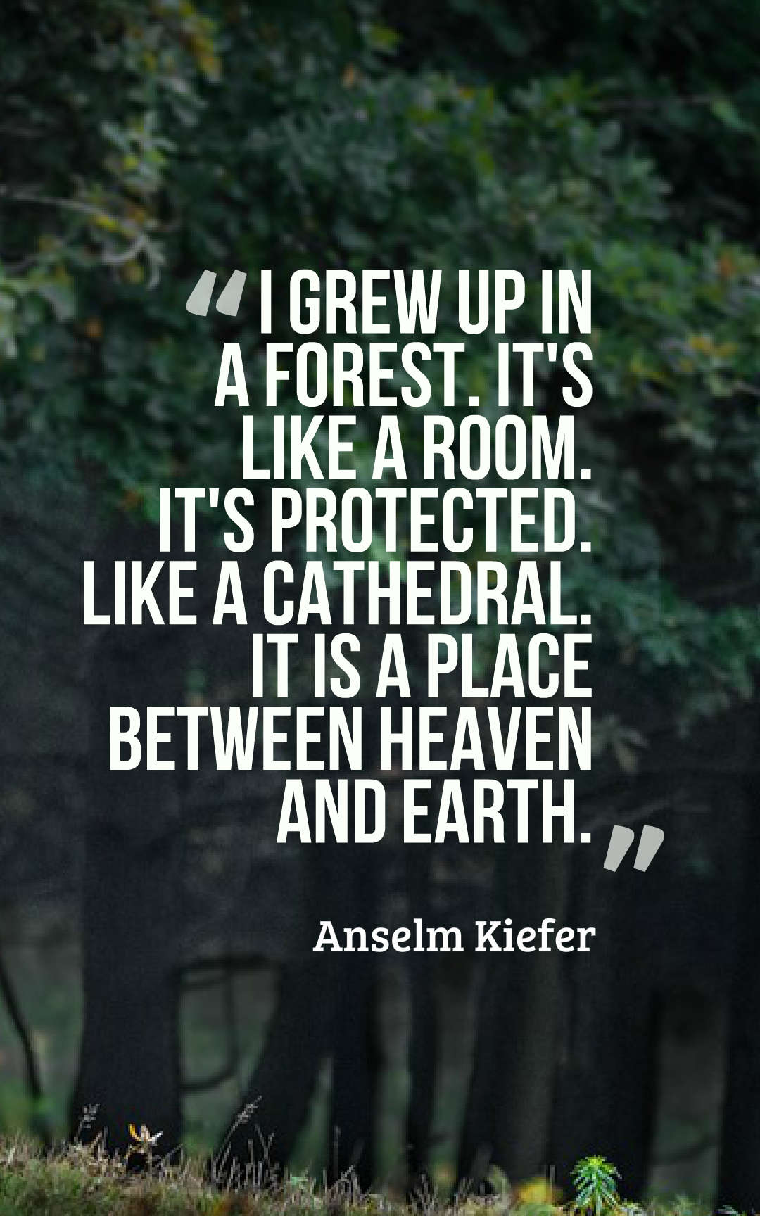 I grew up in a forest. It's like a room. It's protected. Like a cathedral... it is a place between heaven and earth.