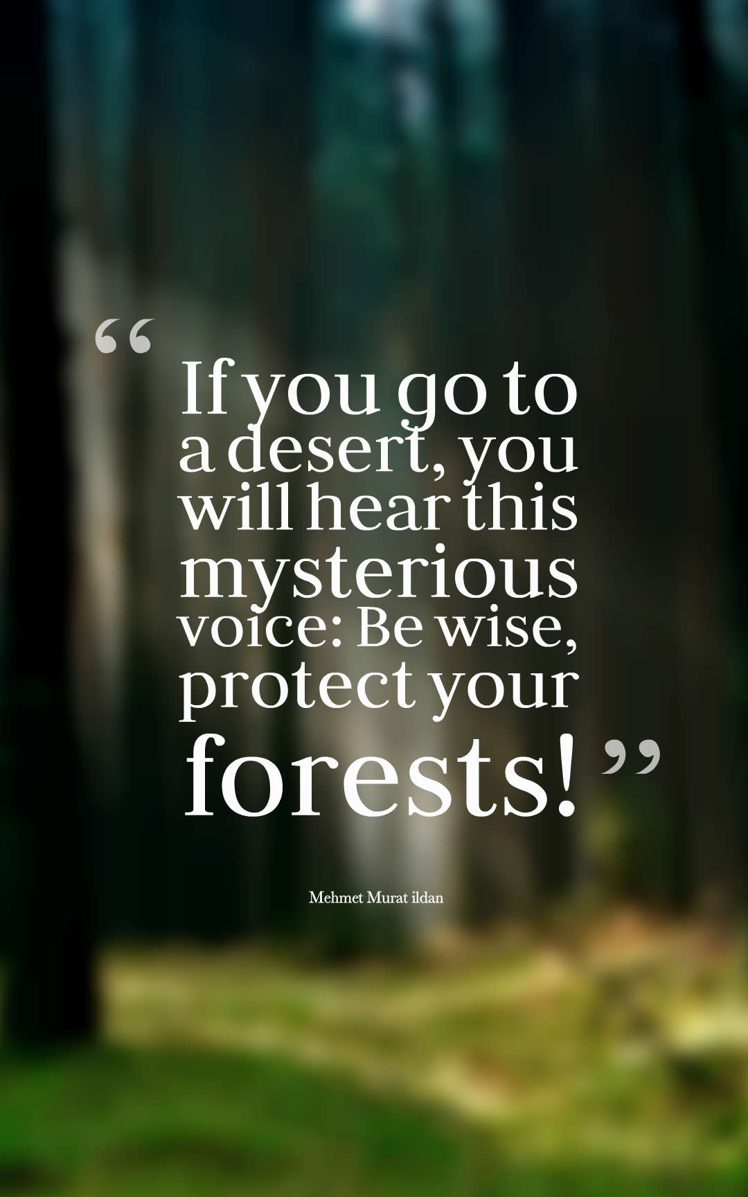 If you go to a desert, you will hear this mysterious voice Be wise, protect your forests!