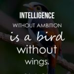 Intelligence without ambition is a bird without wings.