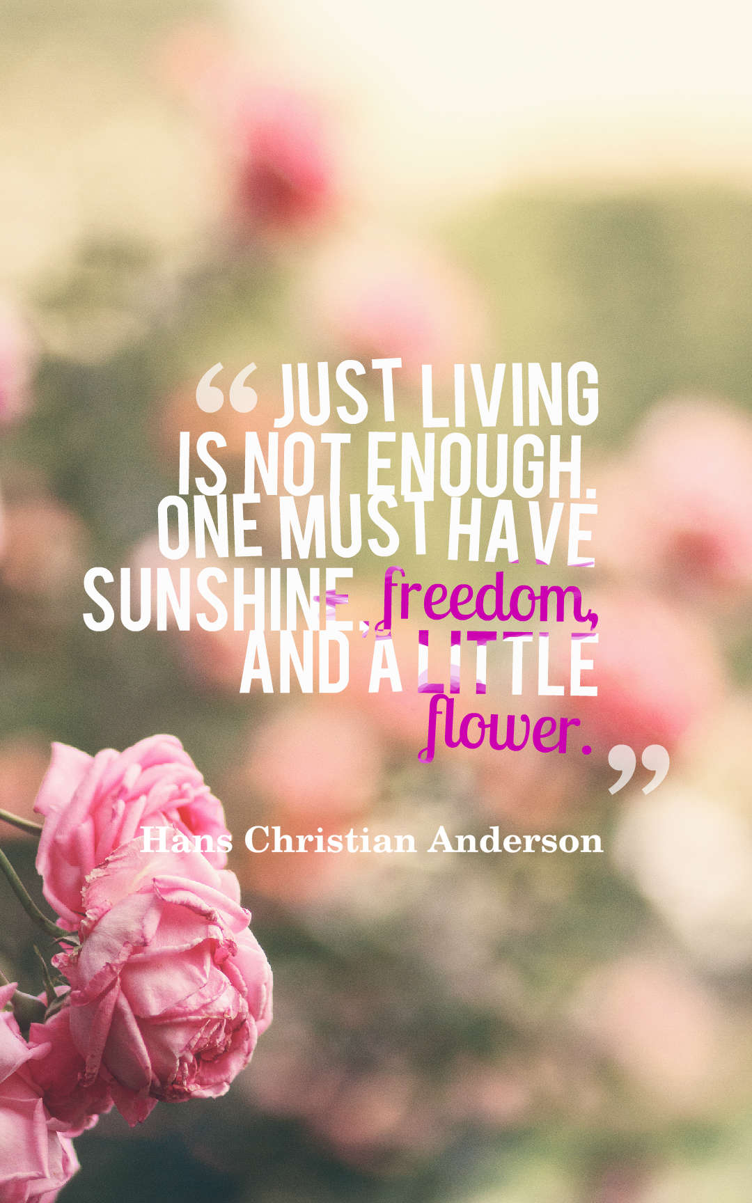 Just living is not enough... one must have sunshine, freedom, and a little flower.