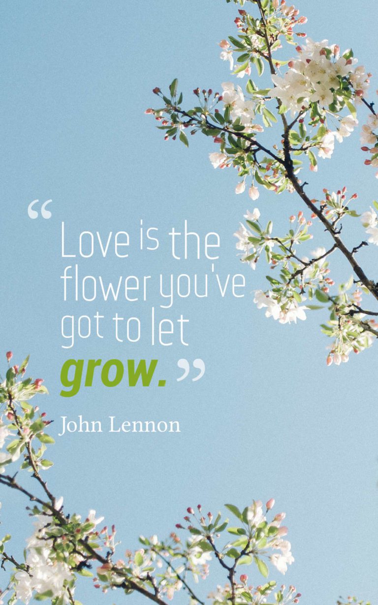 75 Amazing Flower Quotes With Images