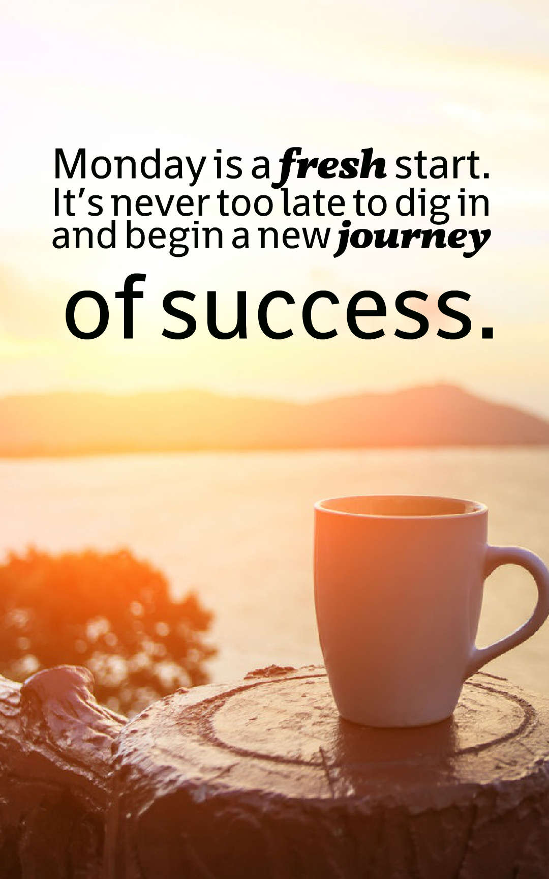 Monday is a fresh start. It’s never too late to dig in and begin a new journey of success.