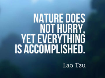 Nature does not hurry, yet everything is accomplished.