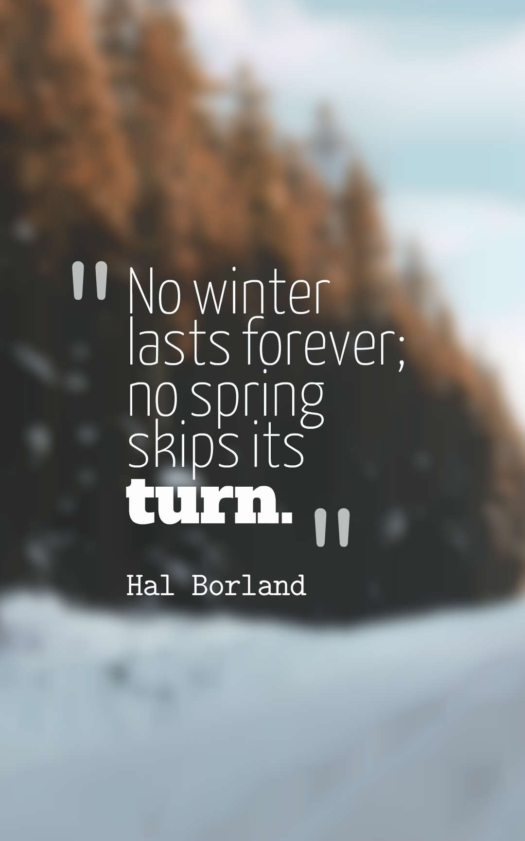 No winter lasts forever no spring skips its turn.