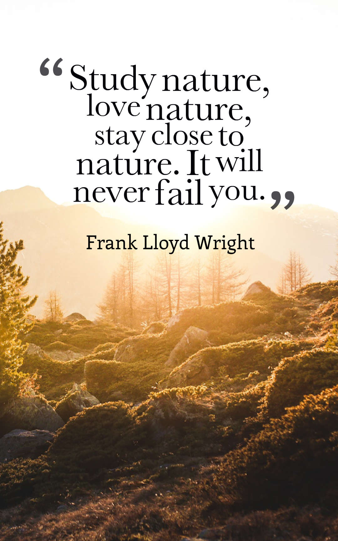 Study nature, love nature, stay close to nature. It will never fail you.