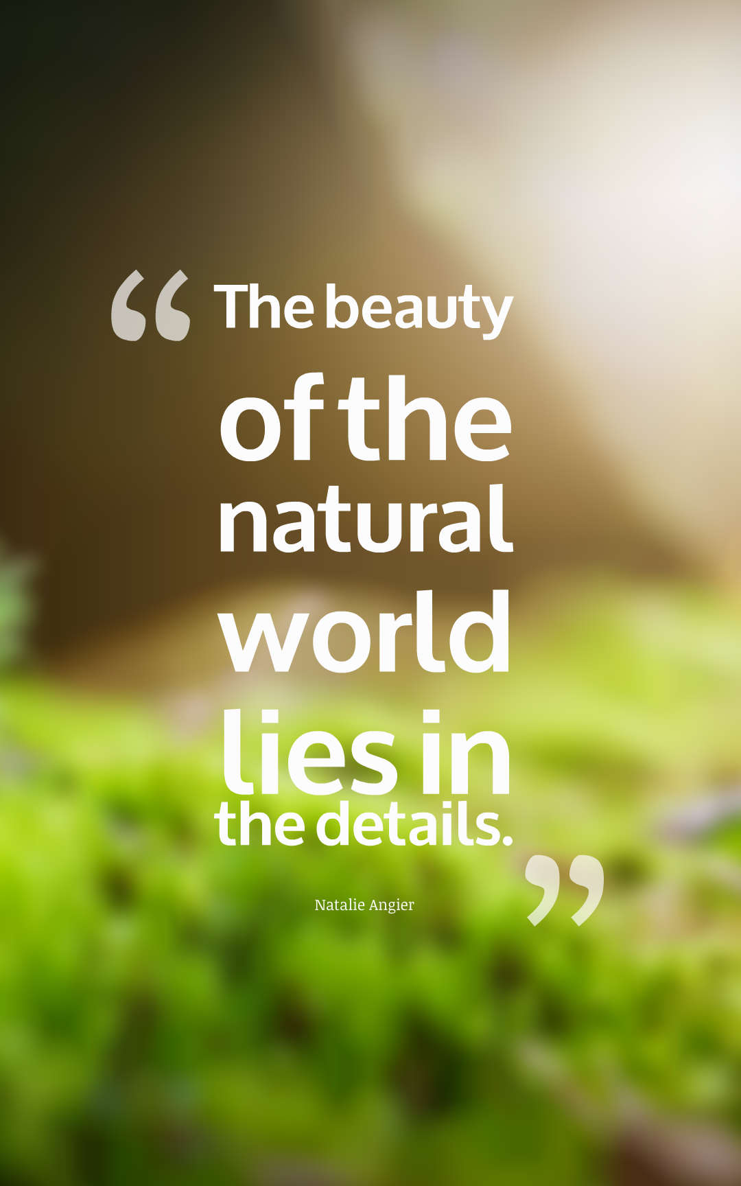The beauty of the natural world lies in the details.
