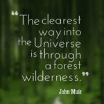 The clearest way into the Universe is through a forest wilderness.