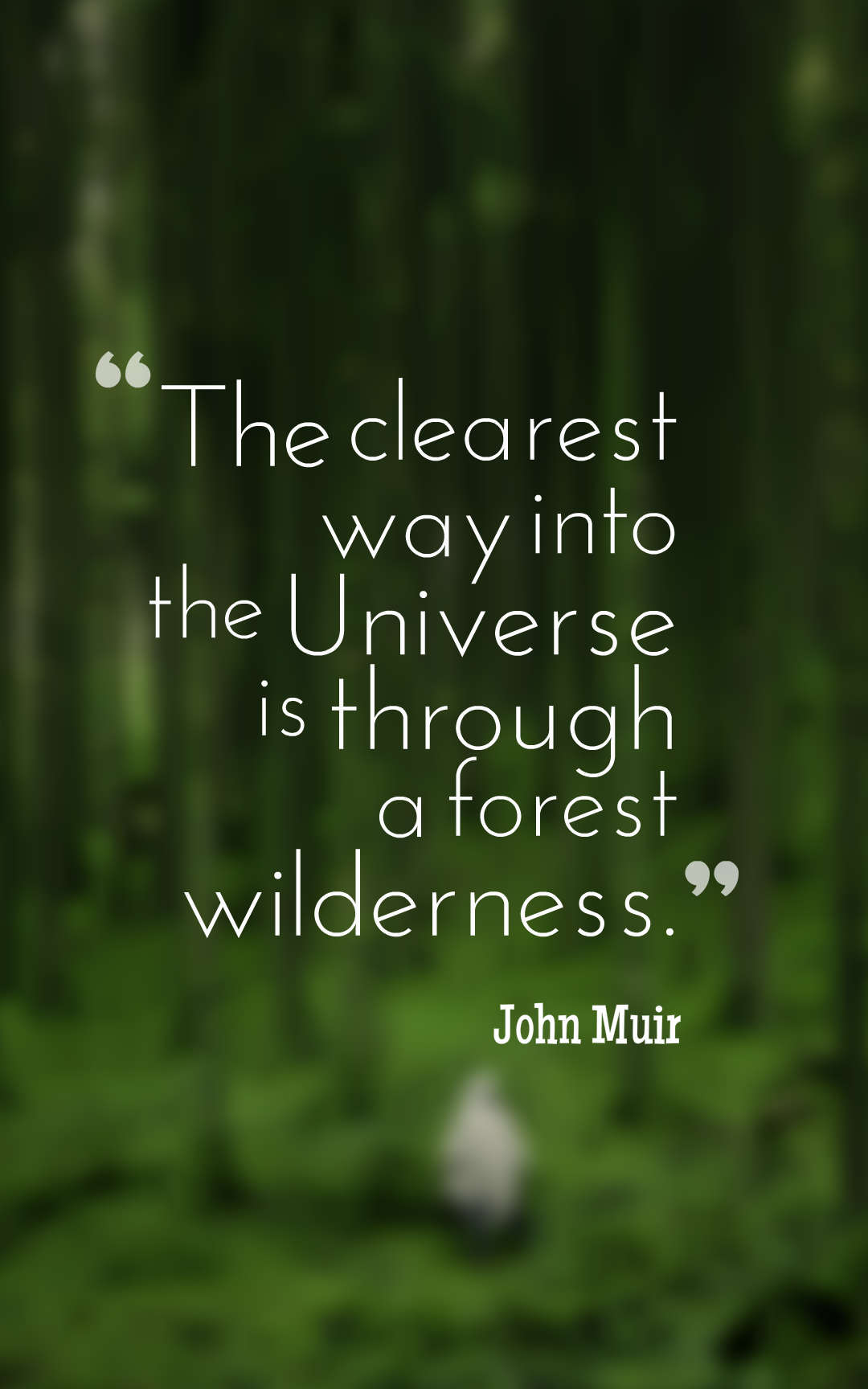 The clearest way into the Universe is through a forest wilderness.