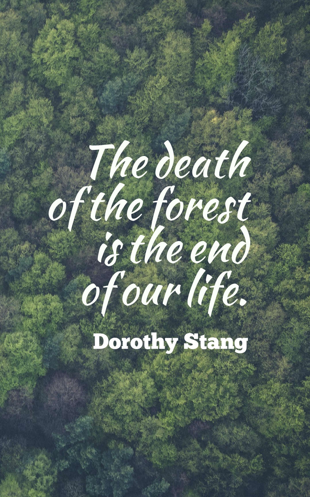 45 Inspirational Forest Quotes And Sayings