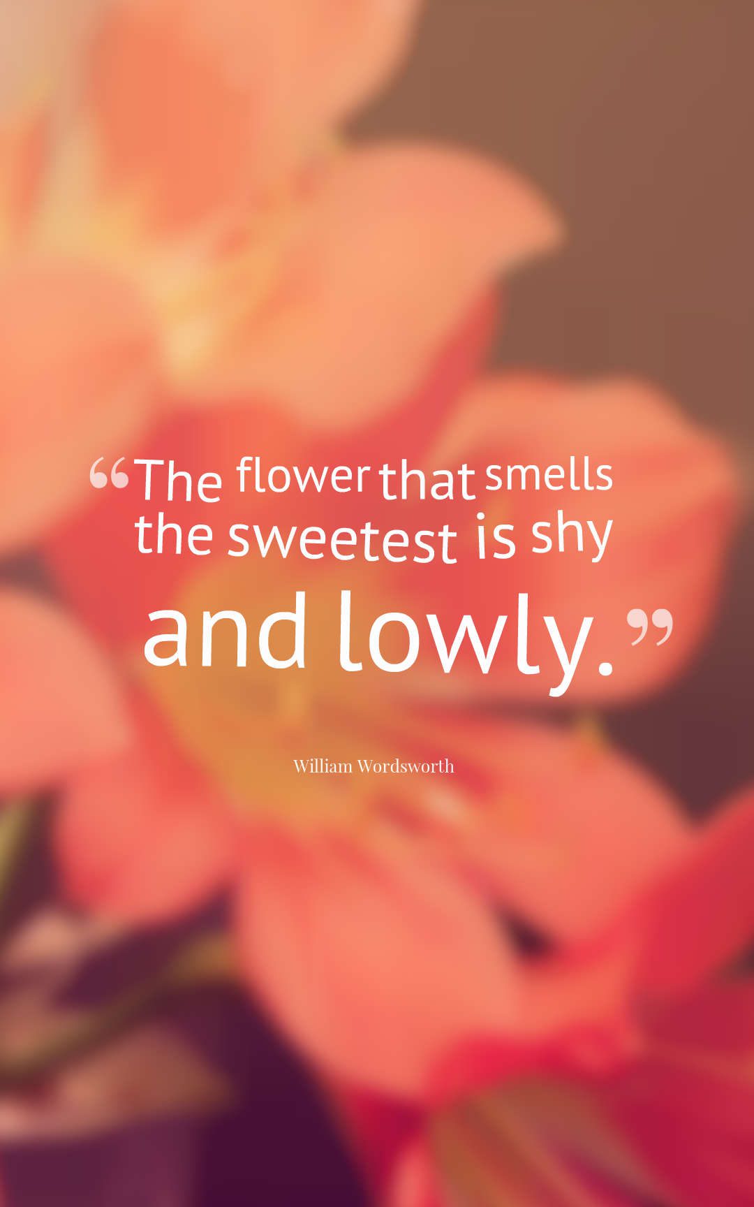The flower that smells the sweetest is shy and lowly.