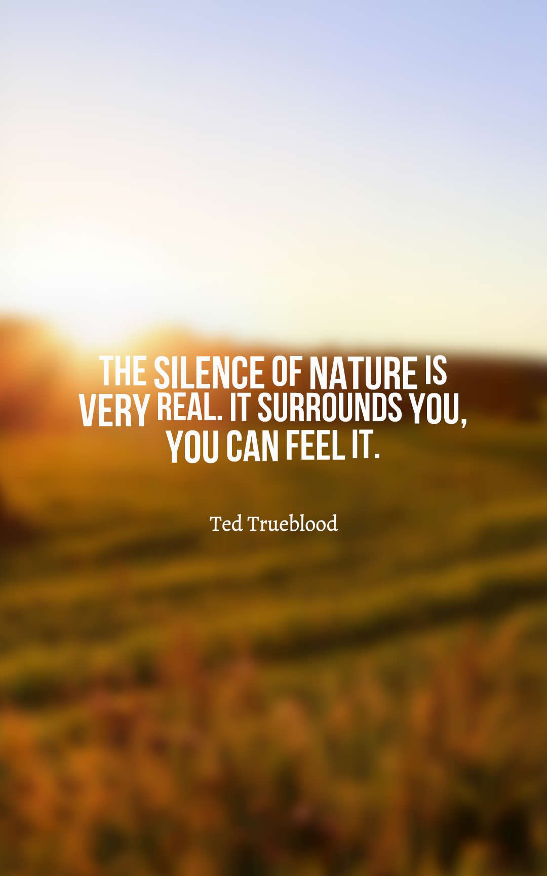 The silence of nature is very real. It surrounds you, you can feel it.