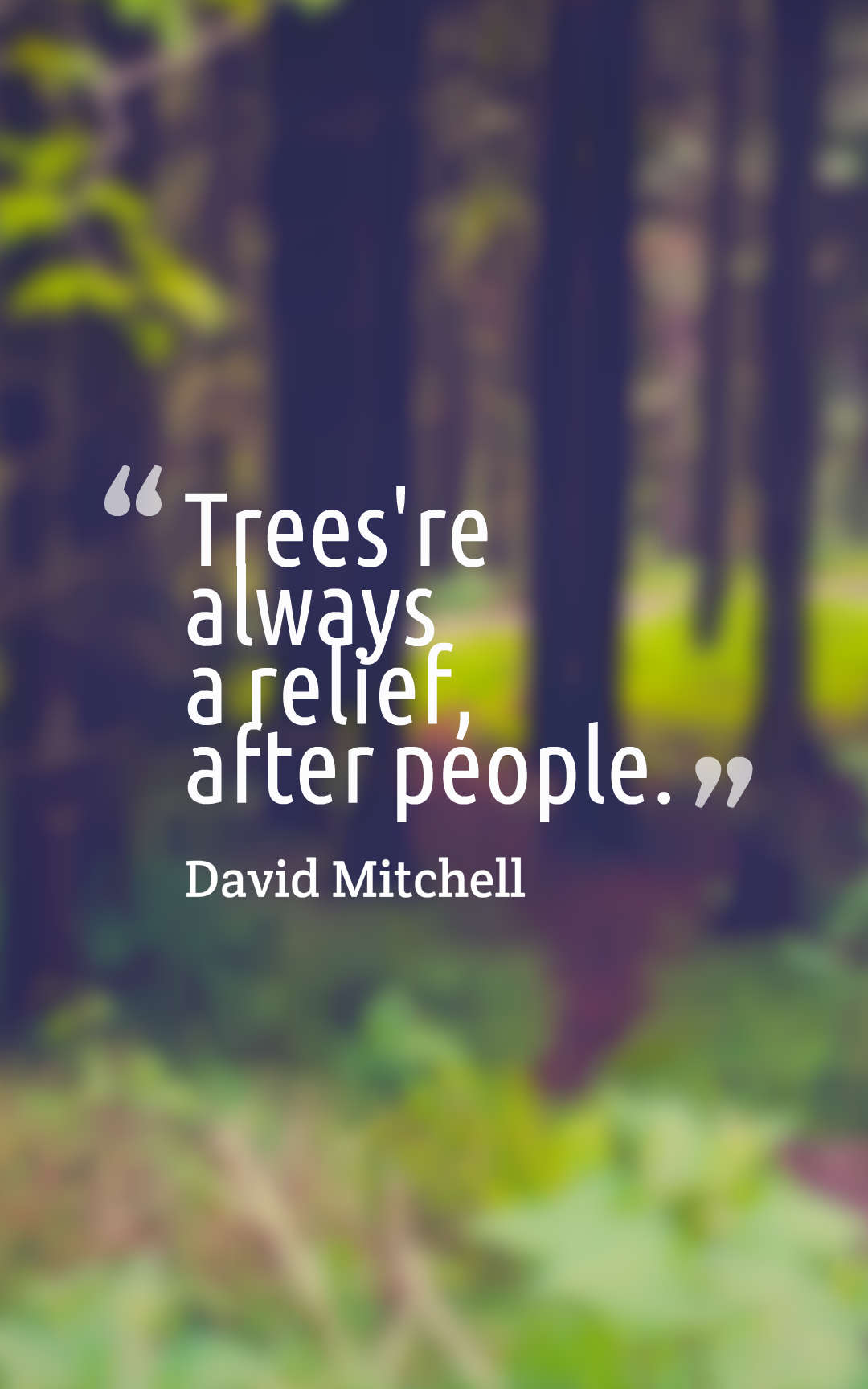Trees're always a relief, after people.