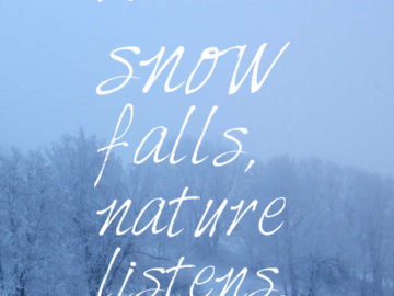 When snow falls, nature listens.