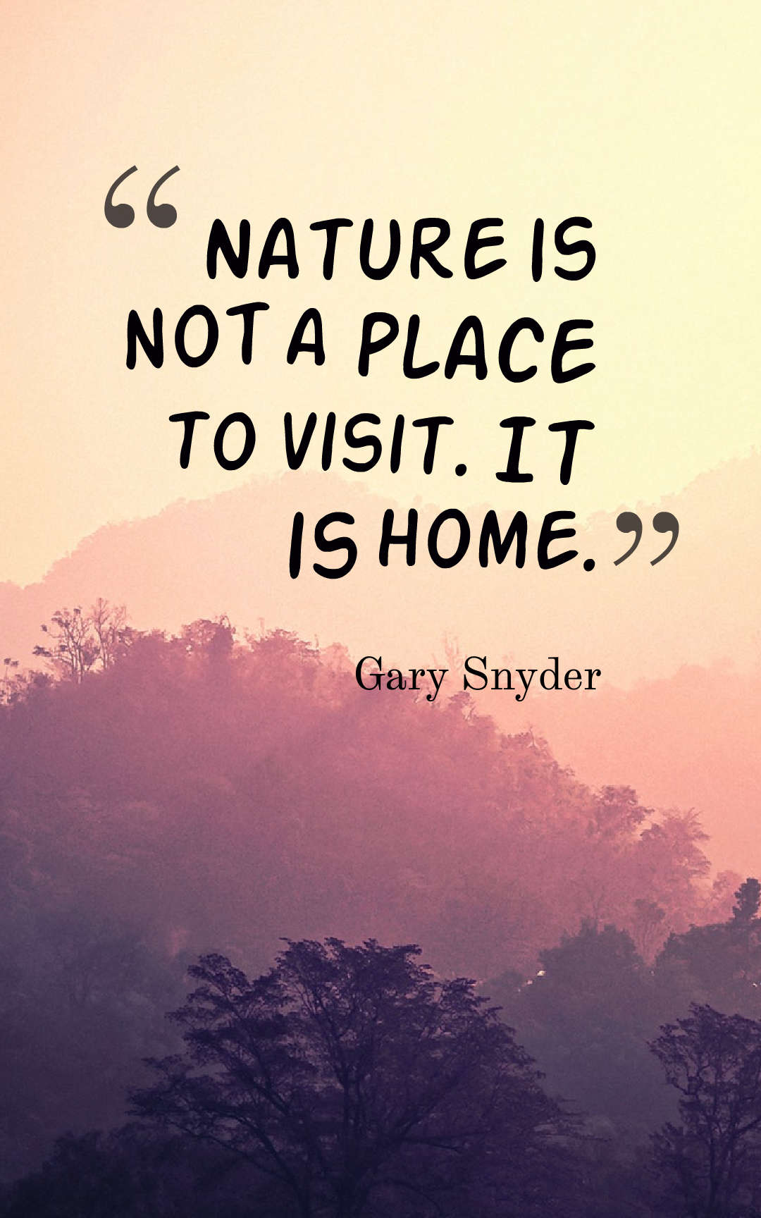 nature is not a place to visit it is home