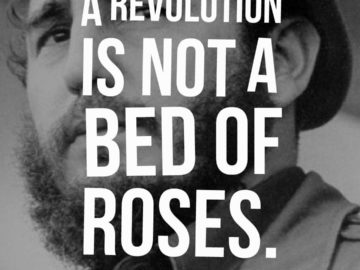 A revolution is not a bed of roses.