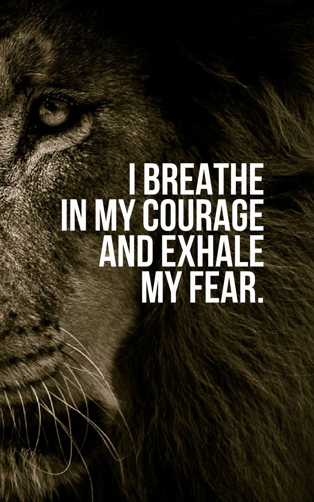 I breathe in my courage and exhale my fear.