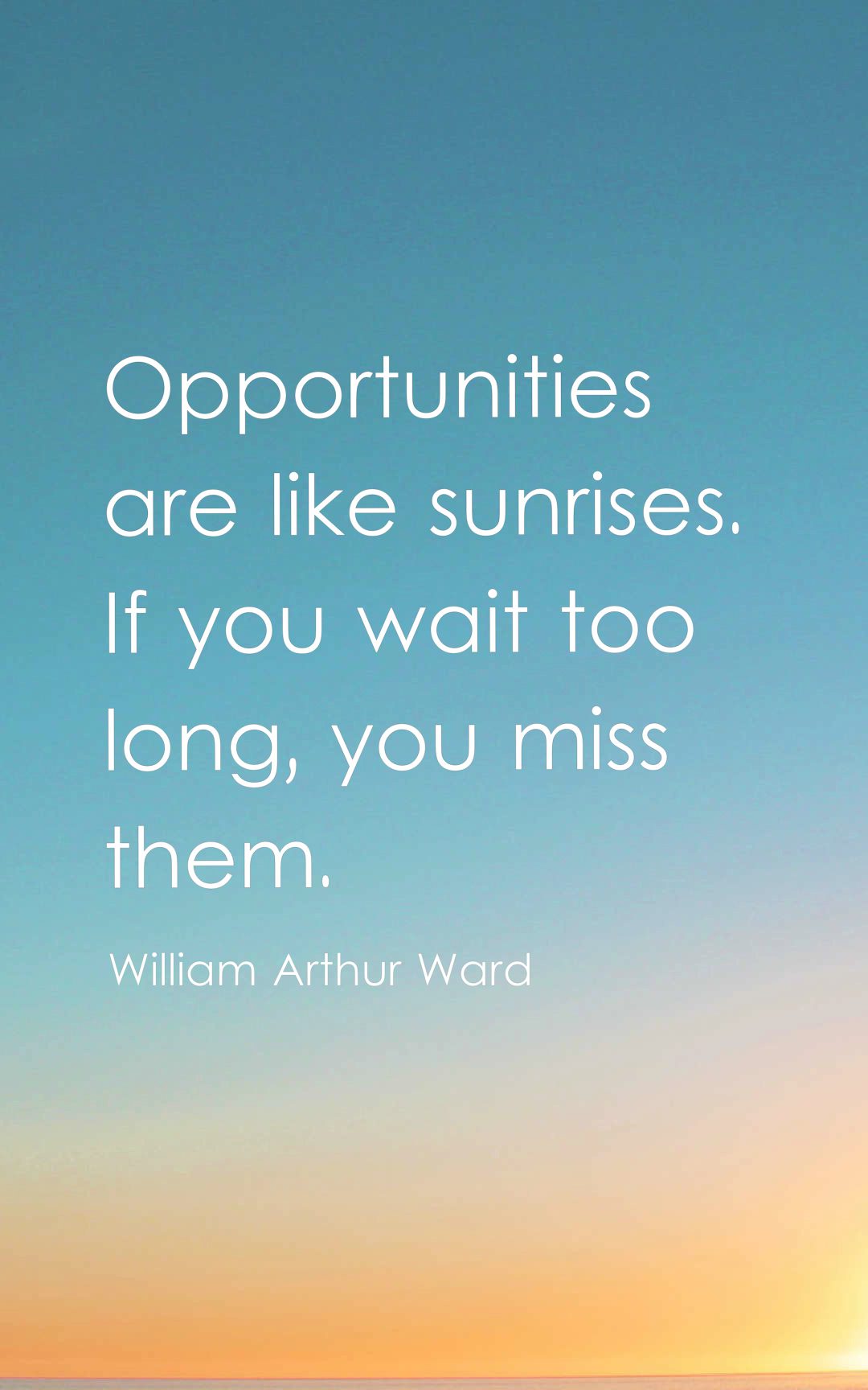 Opportunities are like sunrises. If you wait too long, you miss them.