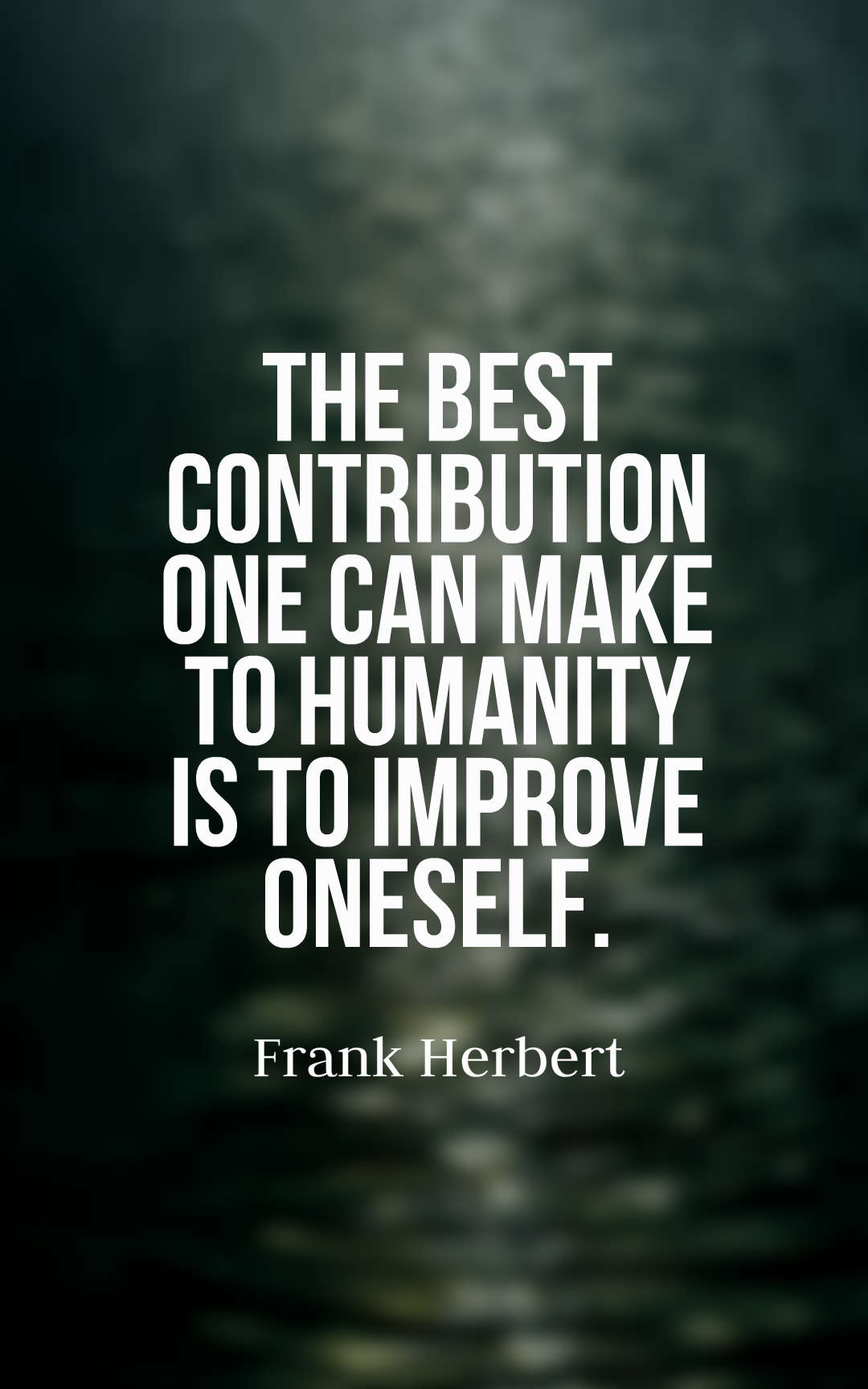 The best contribution one can make to humanity is to improve oneself.