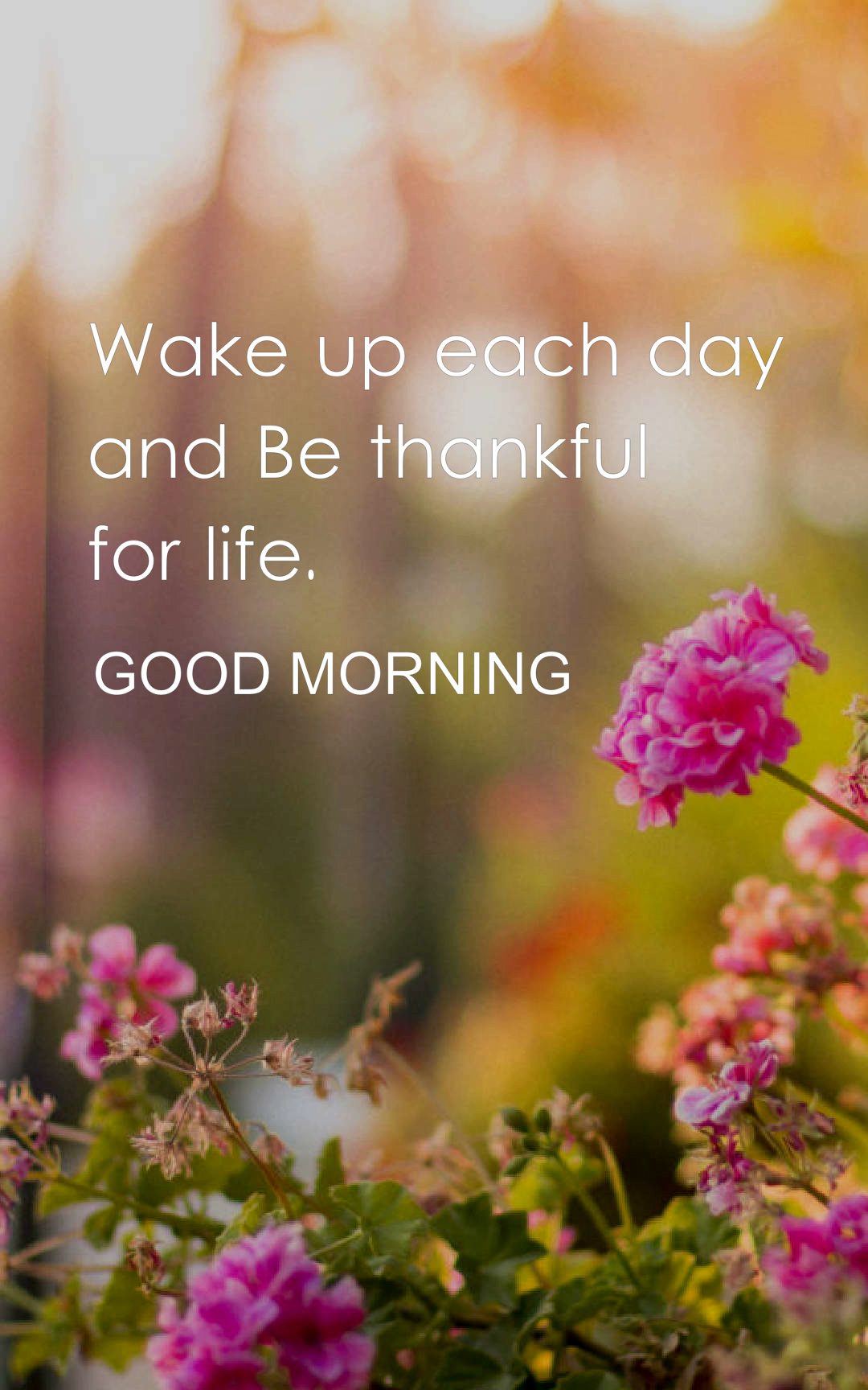 Wake up each day and Be thankful for life