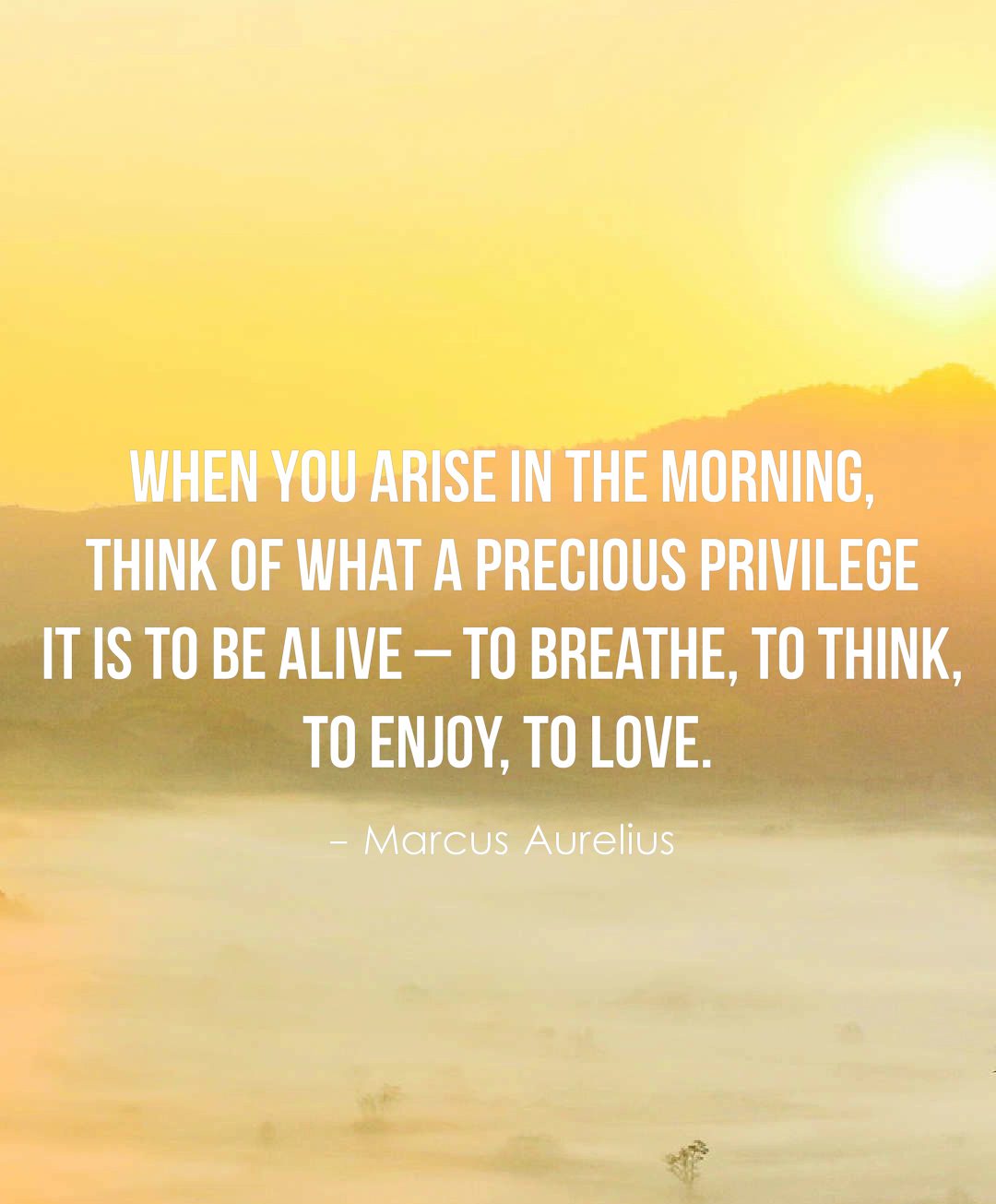 When you arise in the morning, think of what a precious privilege it is to be alive – to breathe, to think, to enjoy, to love.