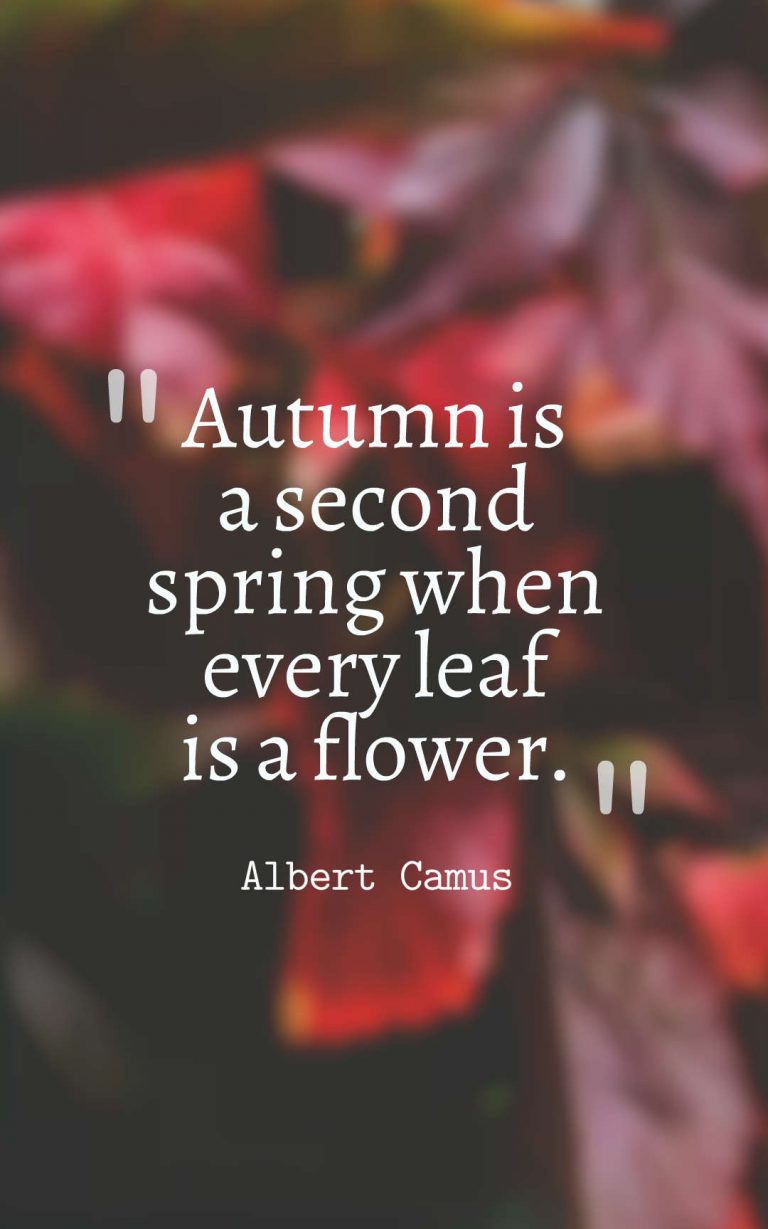 32 Inspirational Autumn Quotes With Images