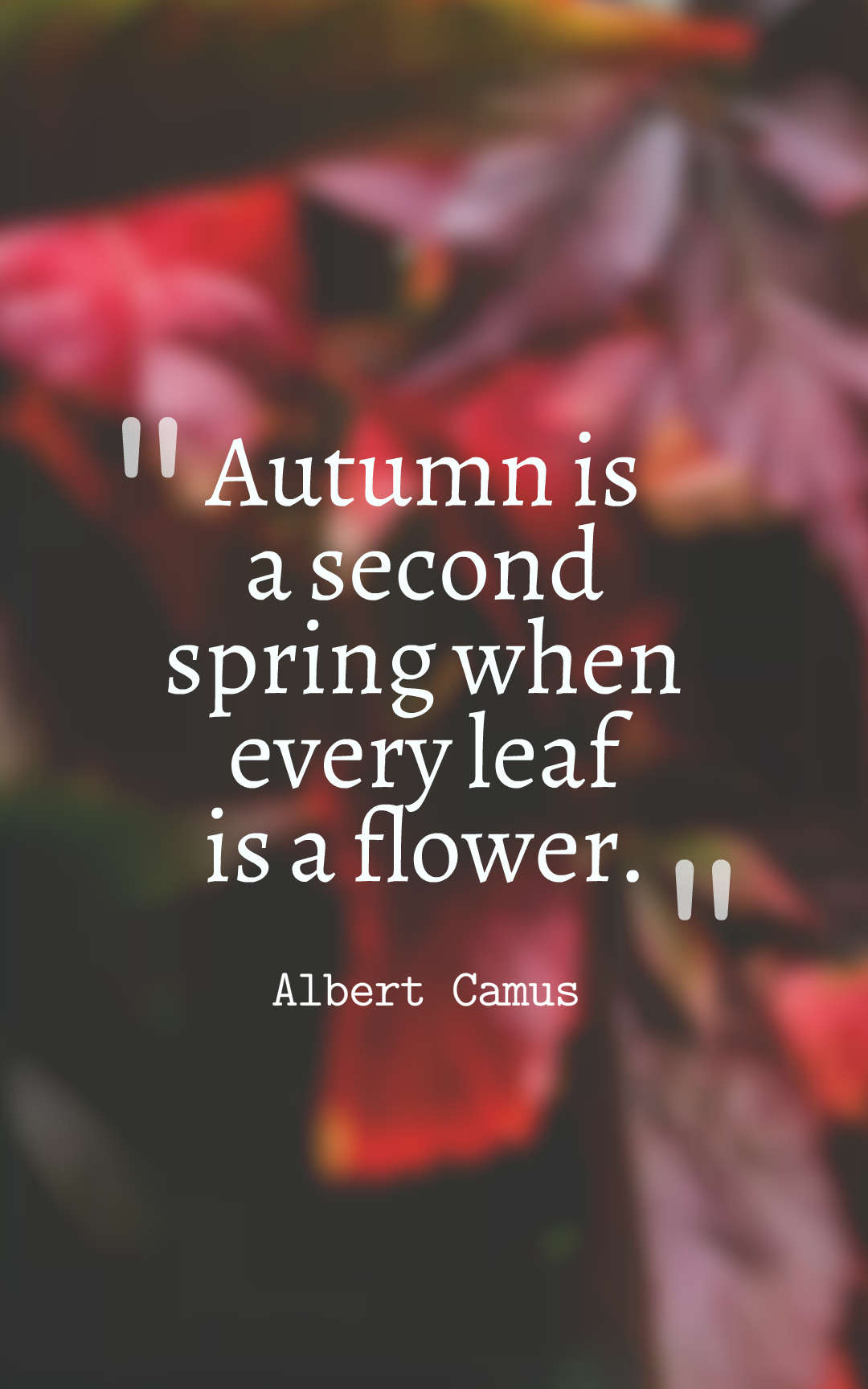 Autumn is a second spring when every leaf is a flower.