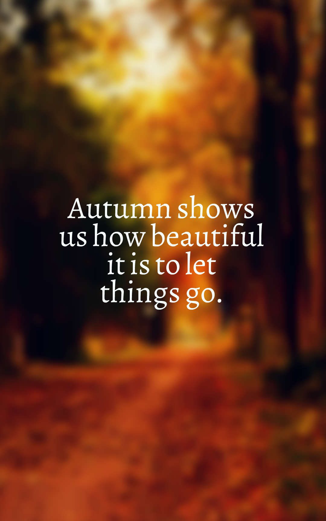 Autumn shows us how beautiful it is to let things go.