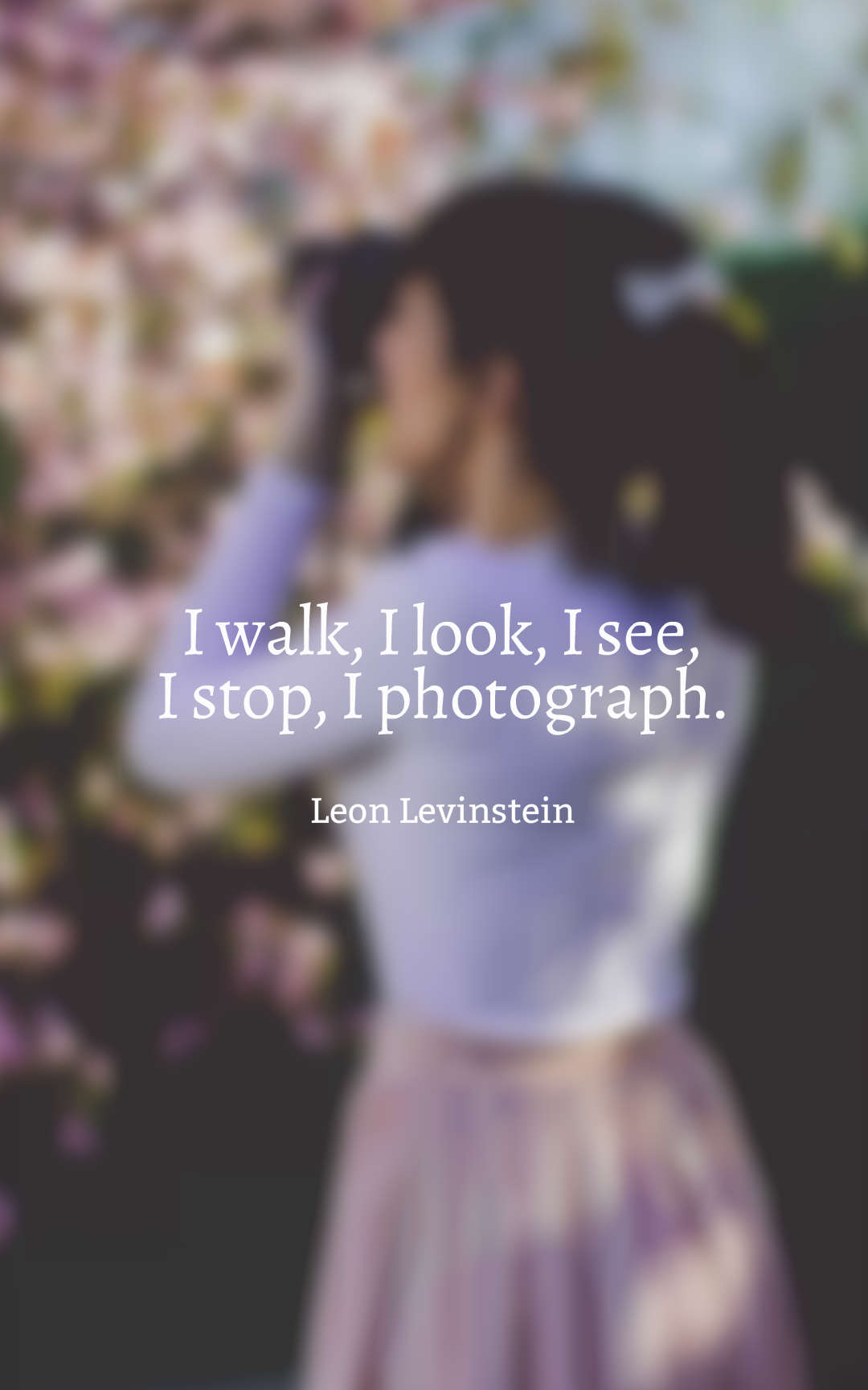 I walk, I look, I see, I stop, I photograph.