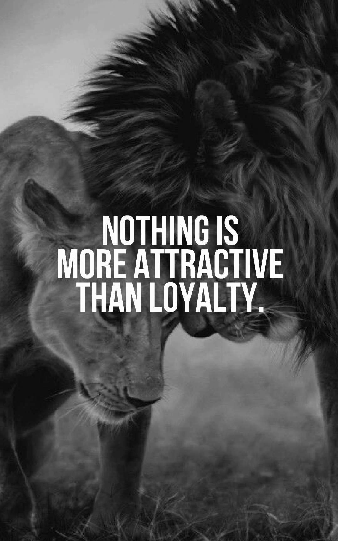 Nothing is more attractive than loyalty.